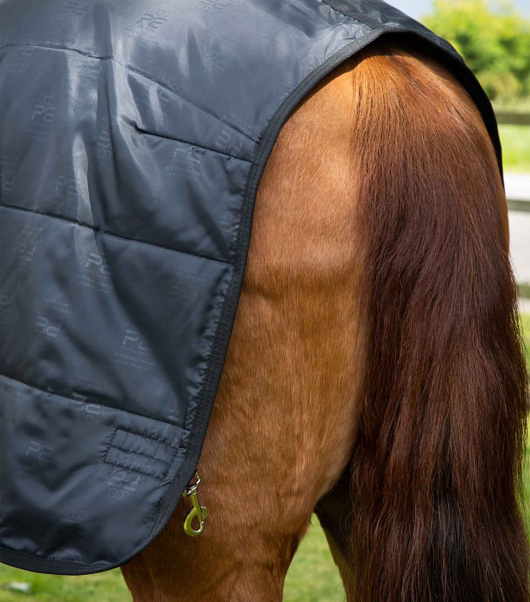 50g Horse Rug Liner - Image 5