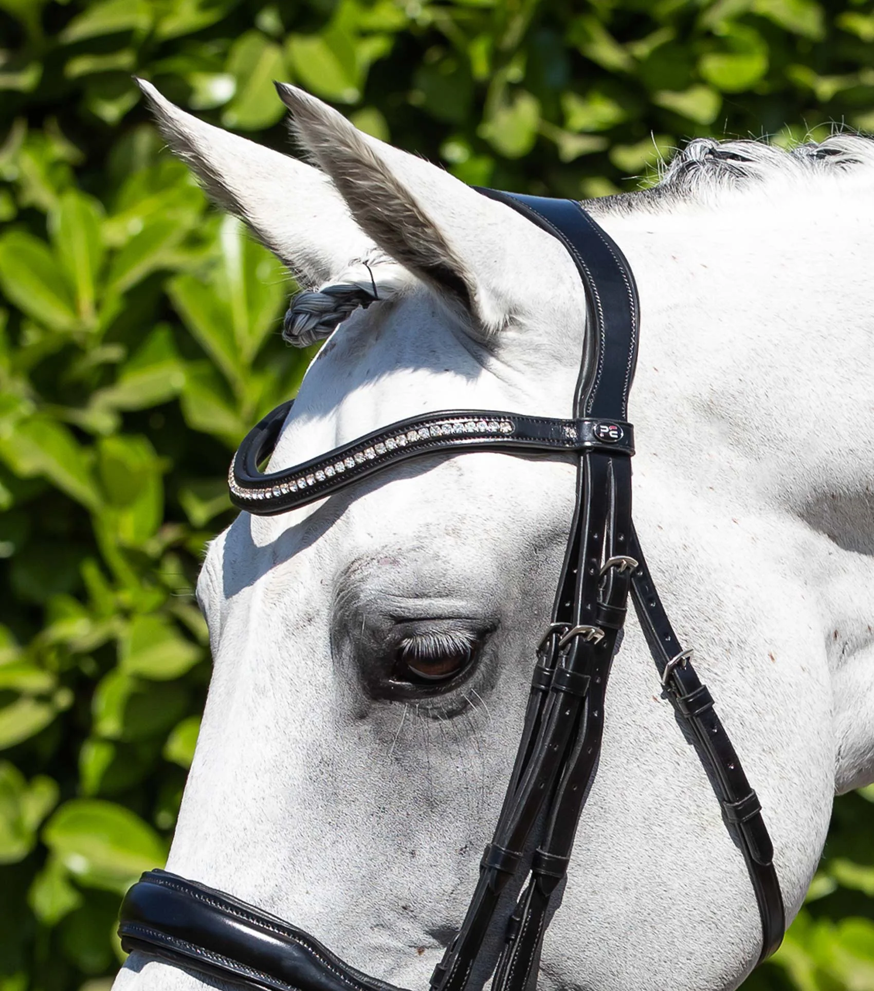 Abriano Anatomic Double Bridle Black - Image 2