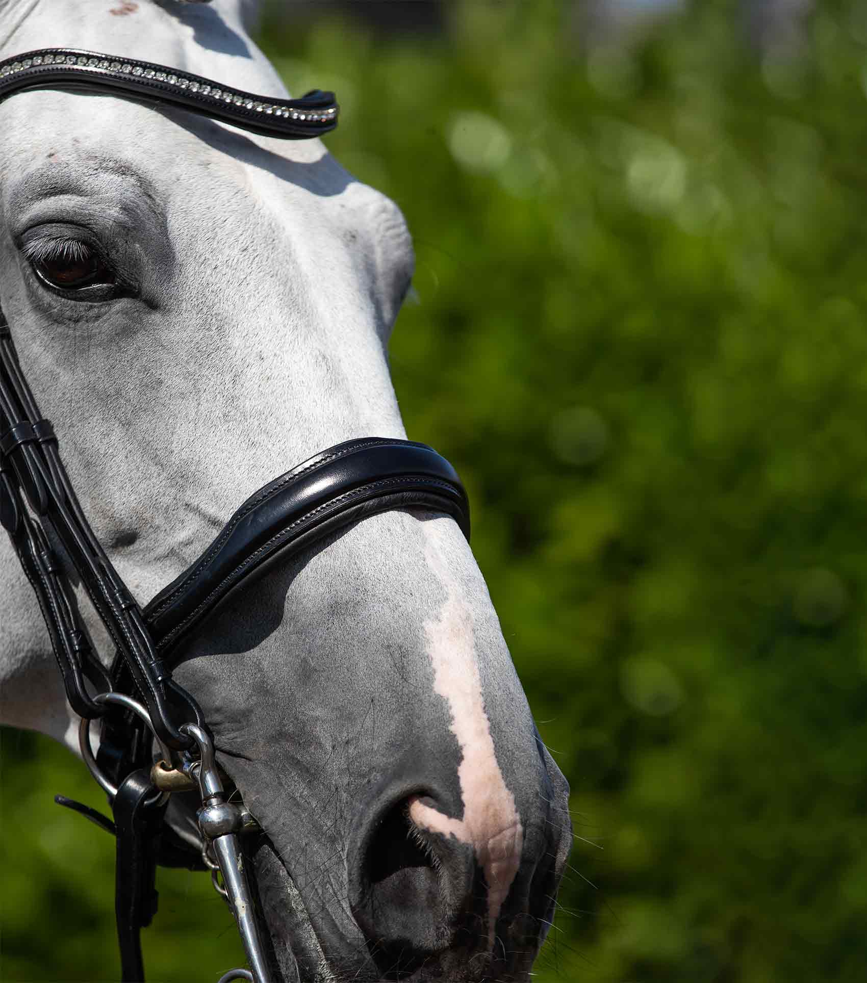 Abriano Anatomic Double Bridle Black - Image 3