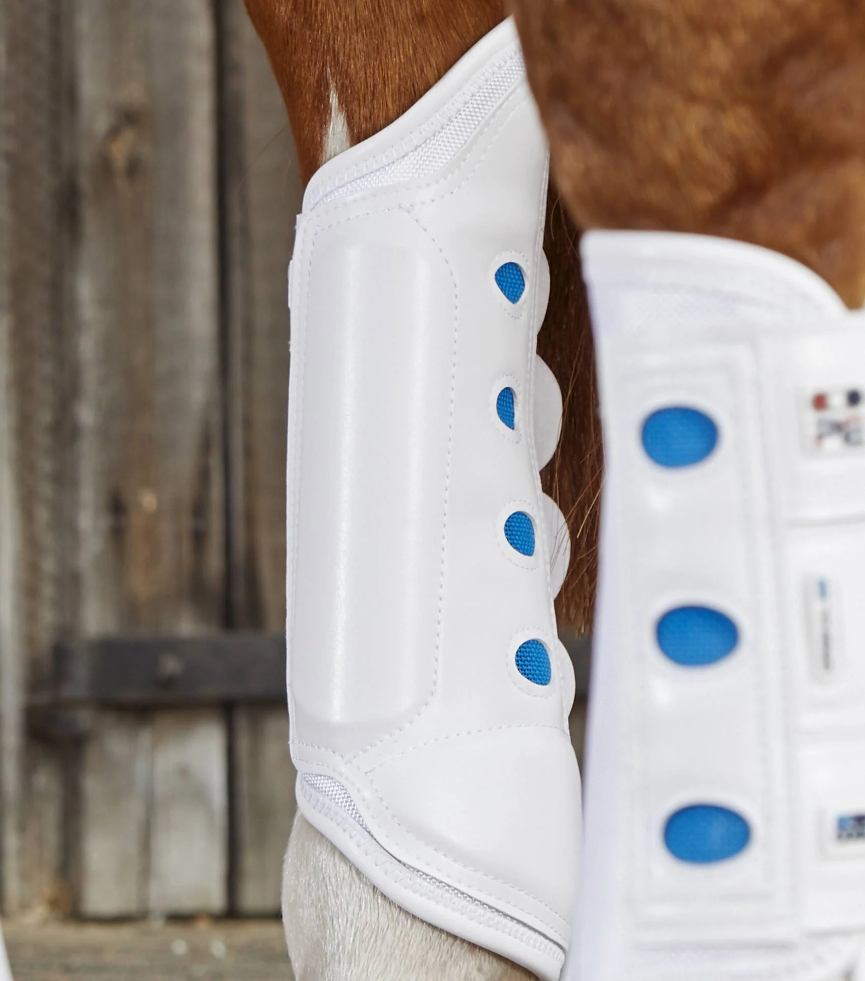 Air Cooled Original Eventing Boots White Hind - Image 2