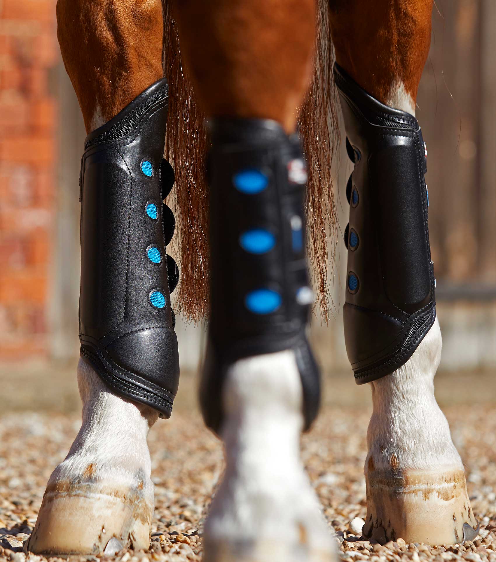 Air Cooled Original Eventing Boots Black Hind - Image 2