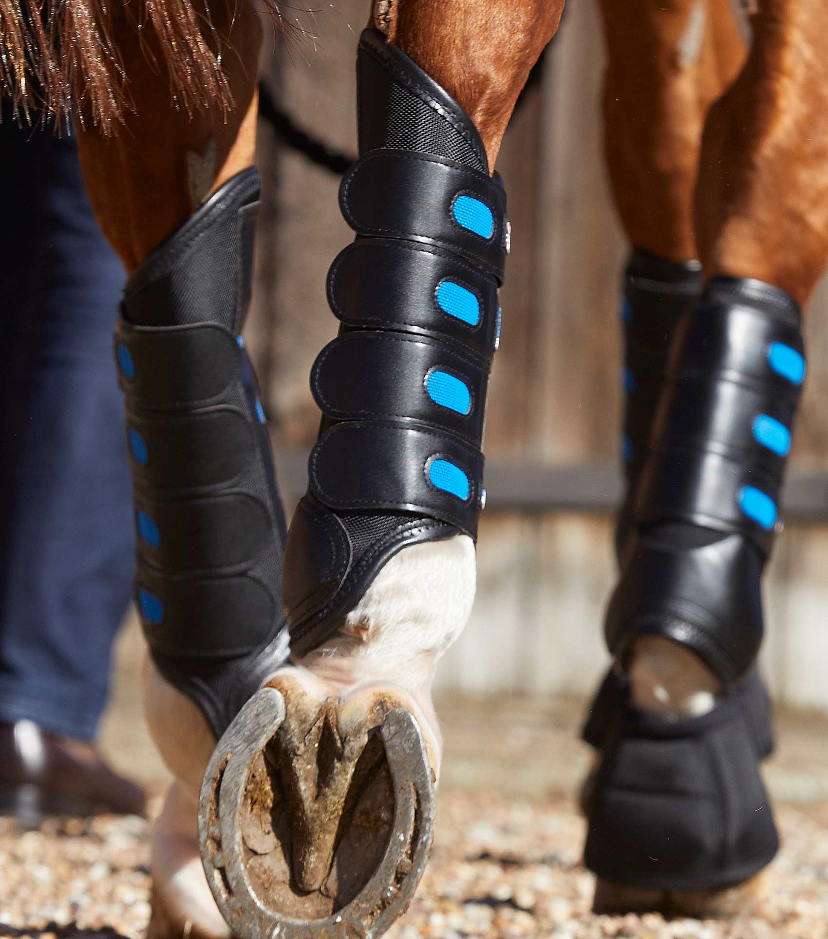 Air Cooled Original Eventing Boots Black Hind - Image 3
