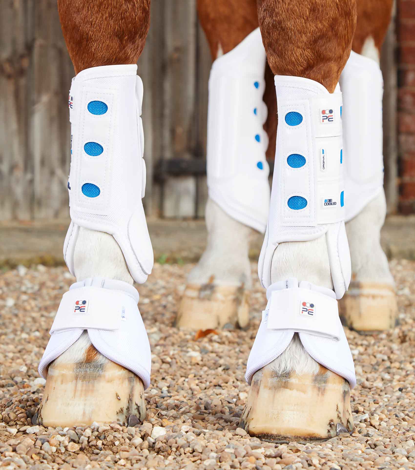 Air Cooled Original Eventing Boots White Front - Image 5