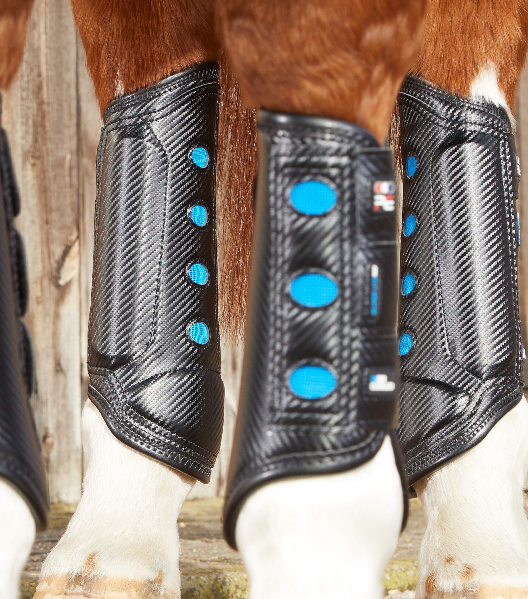 Air Cooled Super Lite Carbon Tech Eventing/Racing Boots Black Hind - Image 4