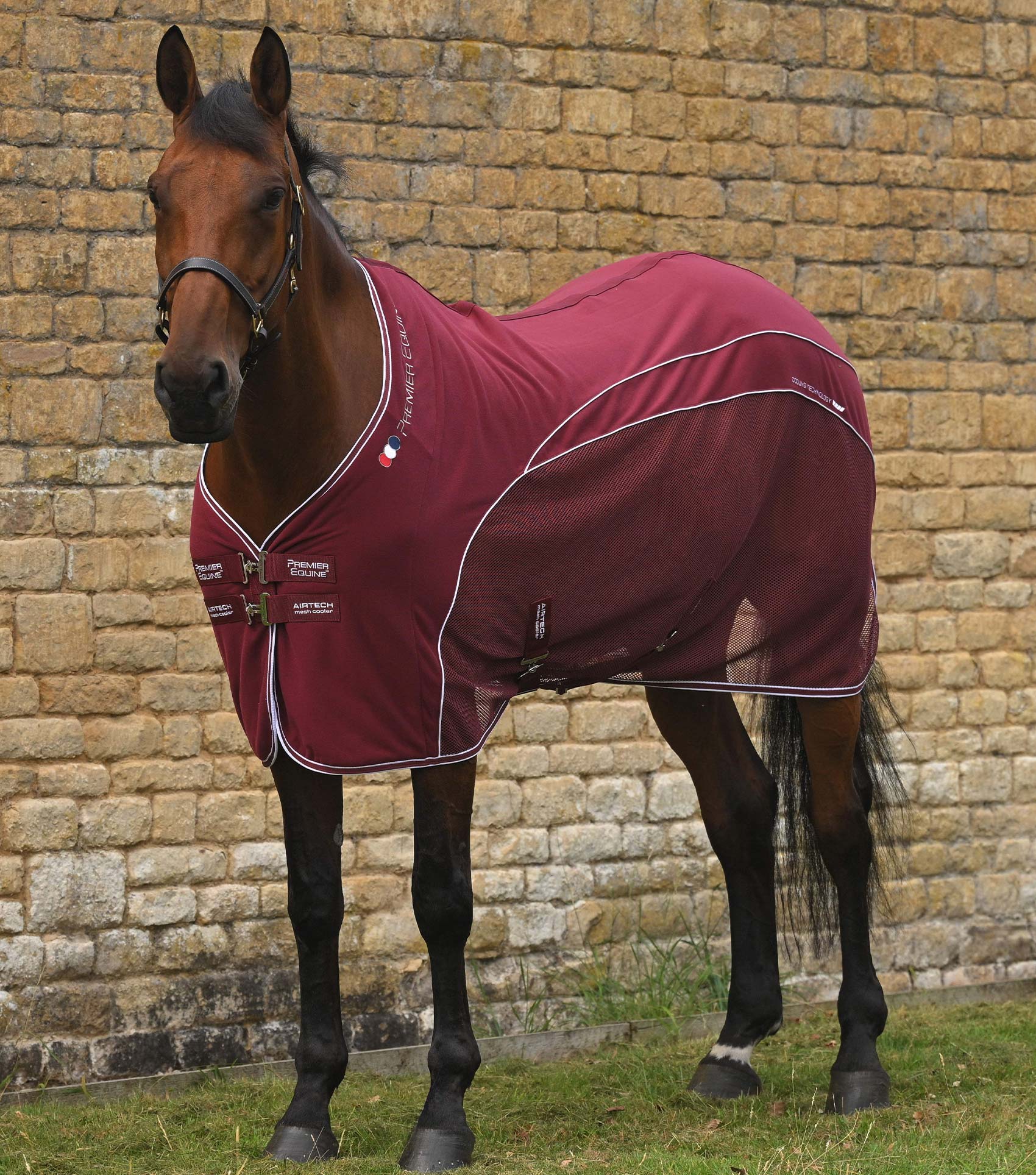 Airtech Mesh Horse Cooler Rug Burgundy
