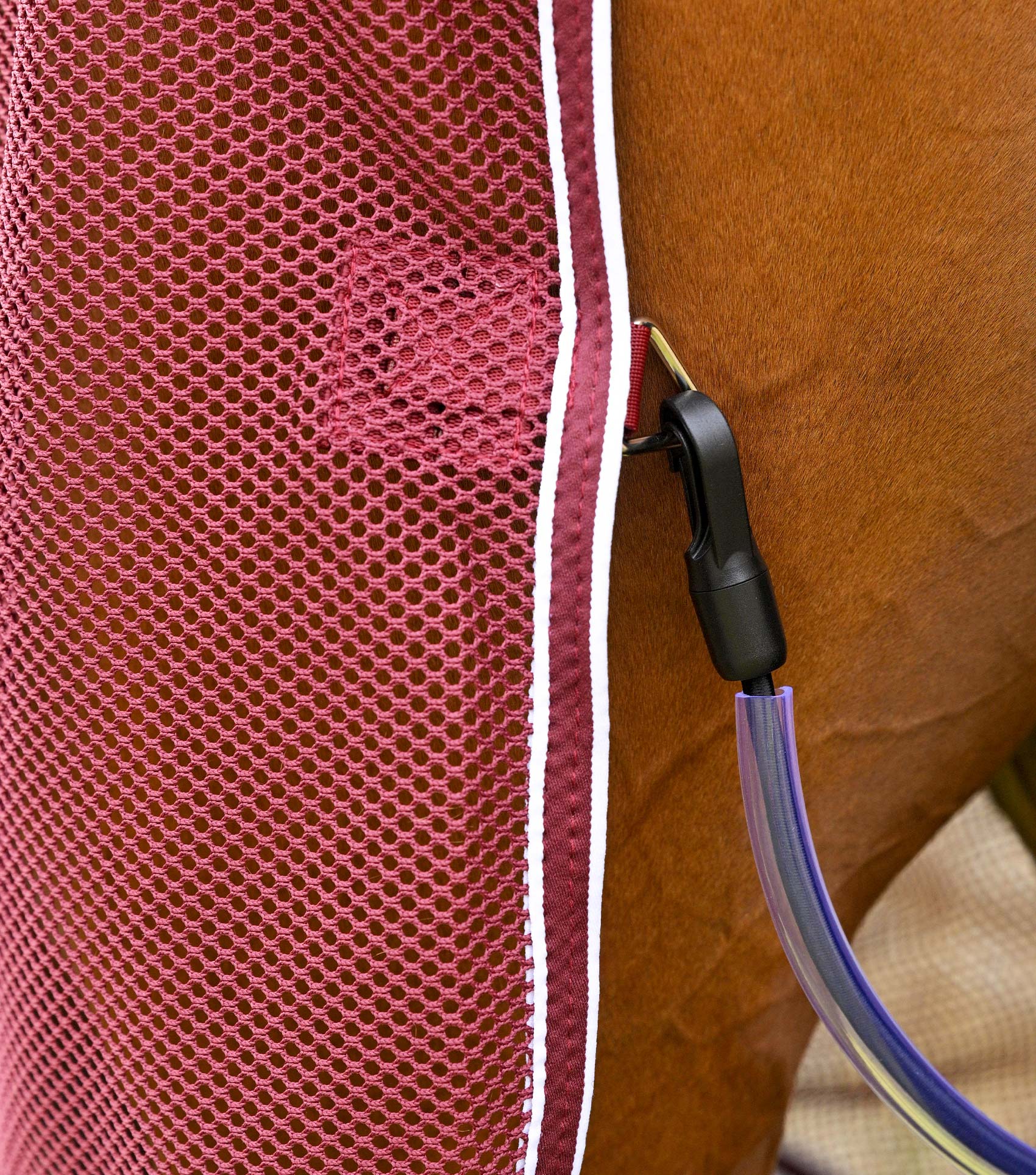Airtech Mesh Horse Cooler Rug Burgundy - Image 5