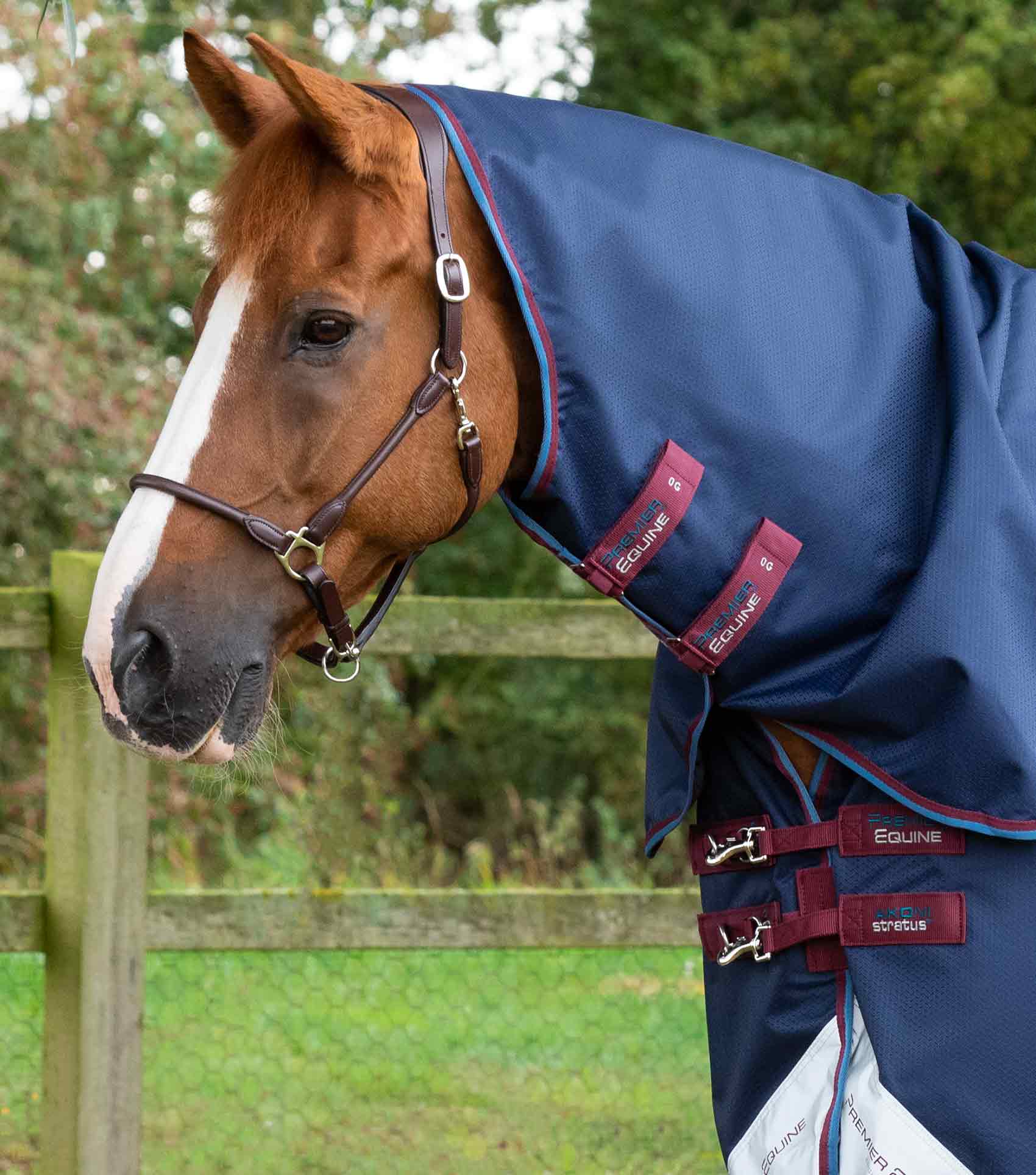 Akoni 0g Turnout Rug with Classic Neck Cover Navy - Image 2