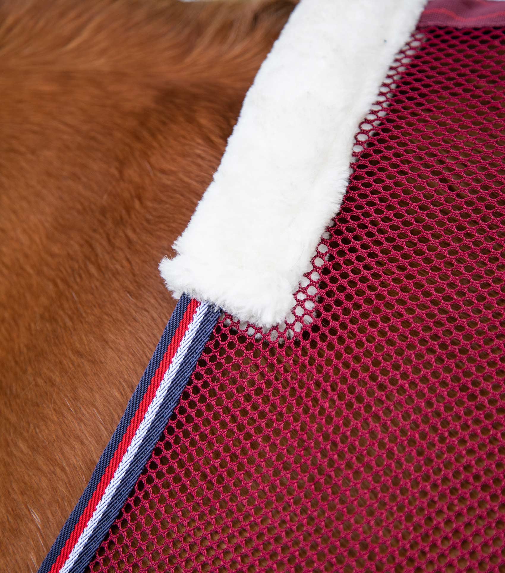 Arisca Scrim Cooler Burgundy - Image 2