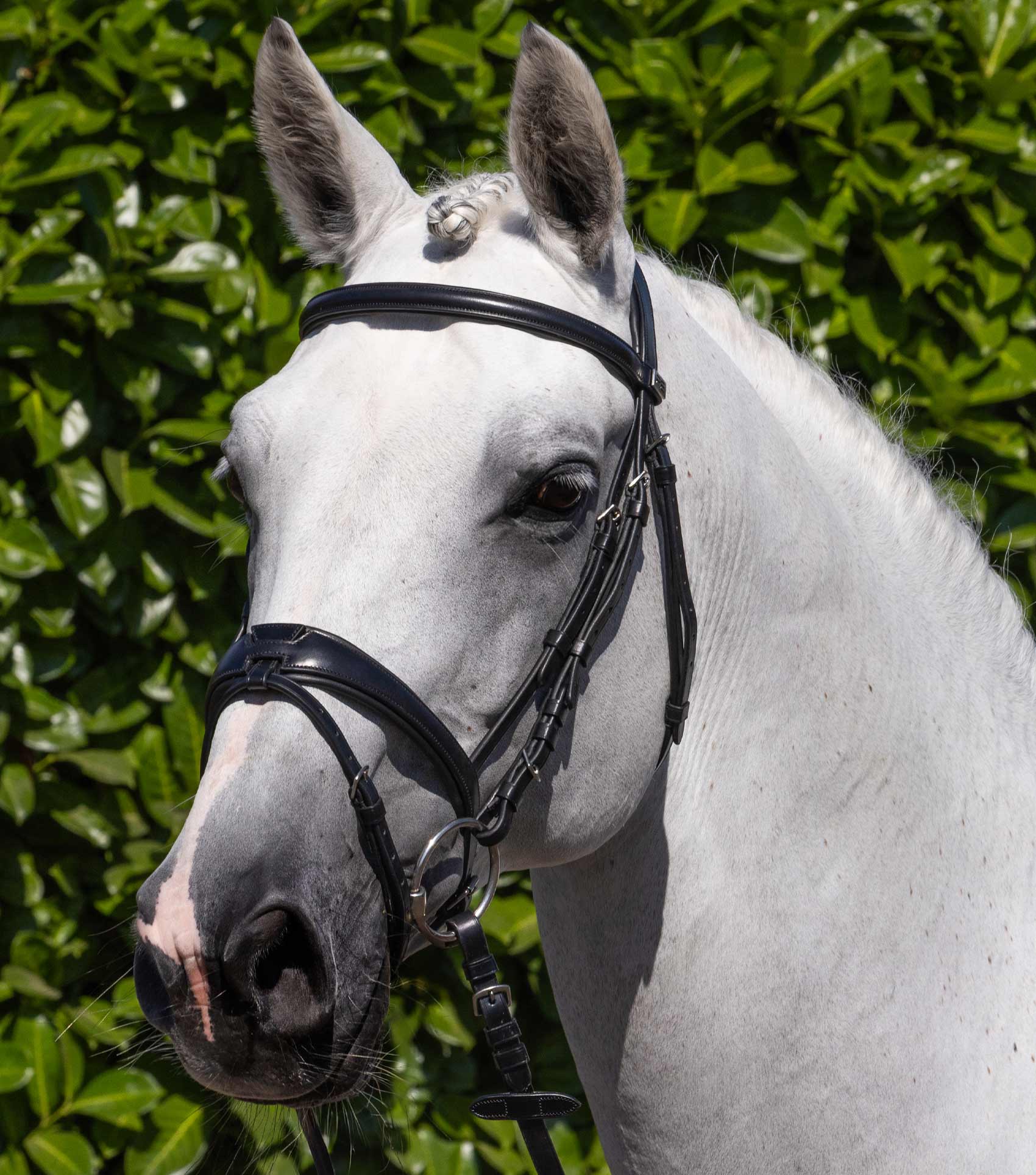 Artana Snaffle Bridle Black