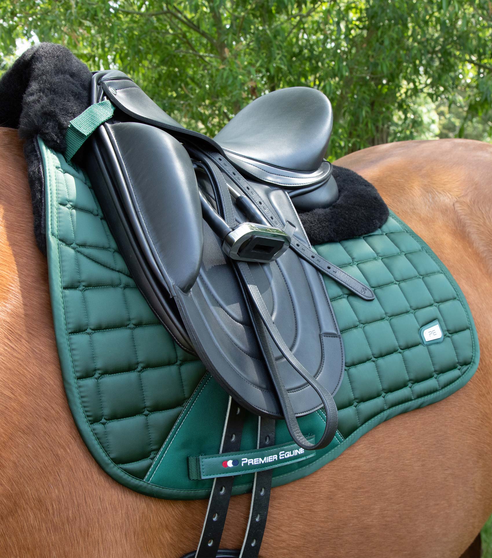 Atlantis CC Satin Wool Dressage Square Olive/Black Wool - Image 2