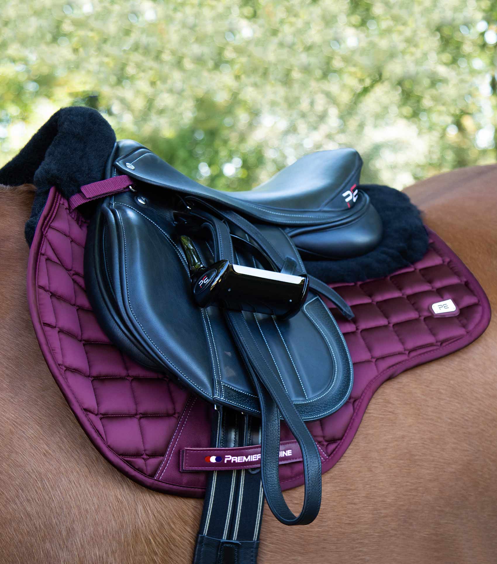 Atlantis CC Satin Wool GP/Jump Square Wine/Black Wool - Image 2