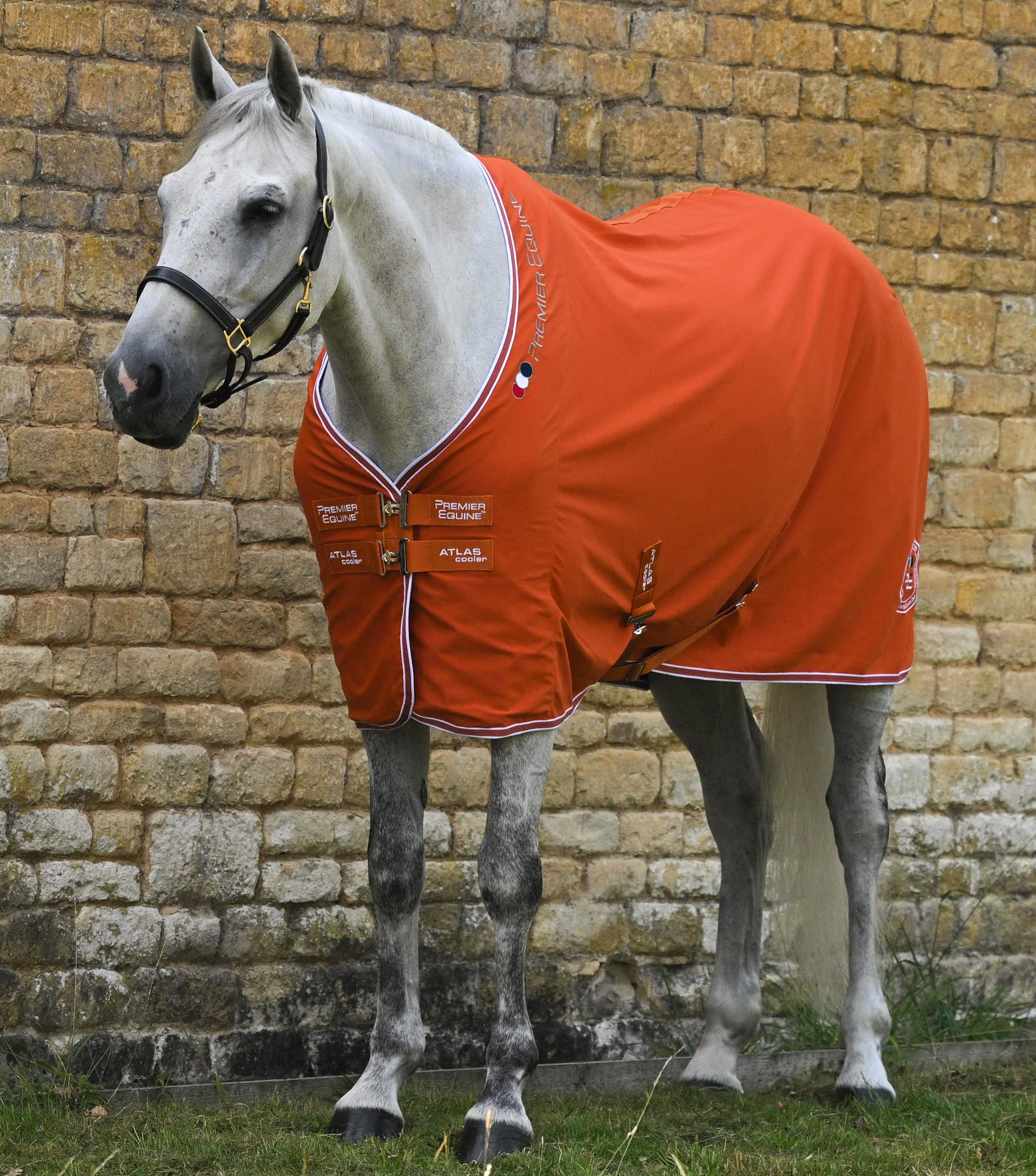 Atlas Horse Cooler Rug Burnt Orange