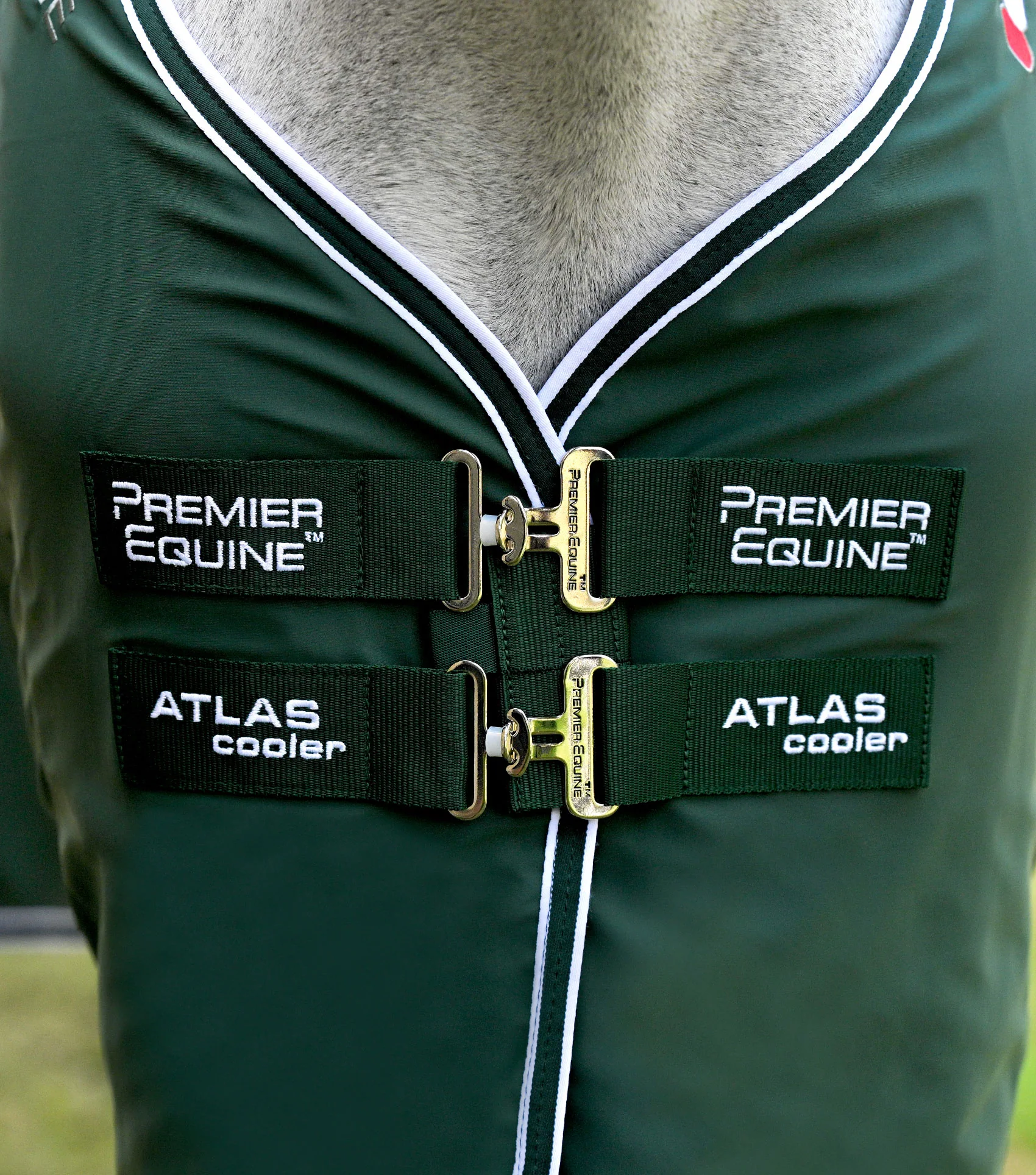 Atlas Horse Cooler Rug Green - Image 2