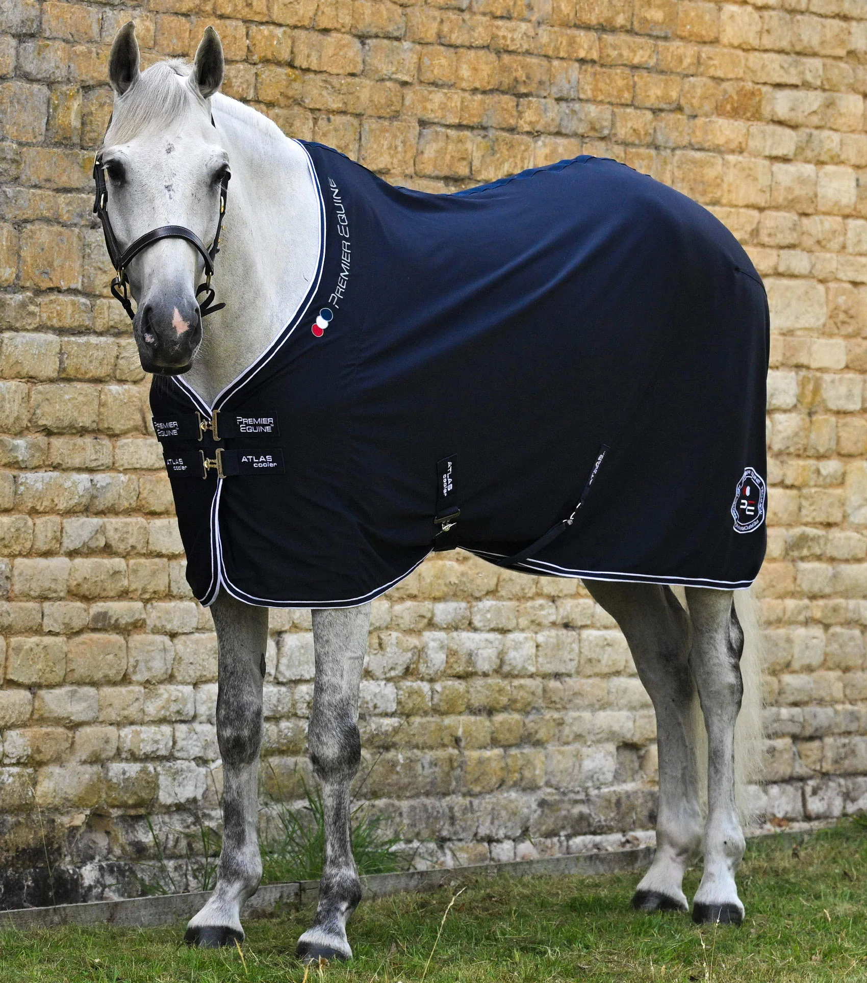 Atlas Horse Cooler Rug Navy