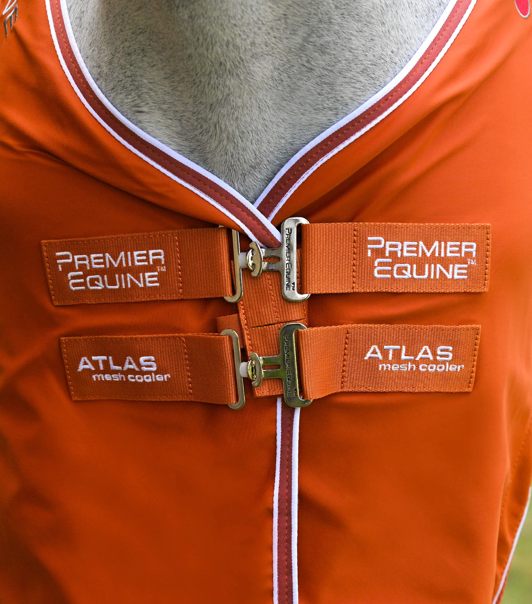 Atlas Mesh Horse Cooler Rug Burnt Orange - Image 2