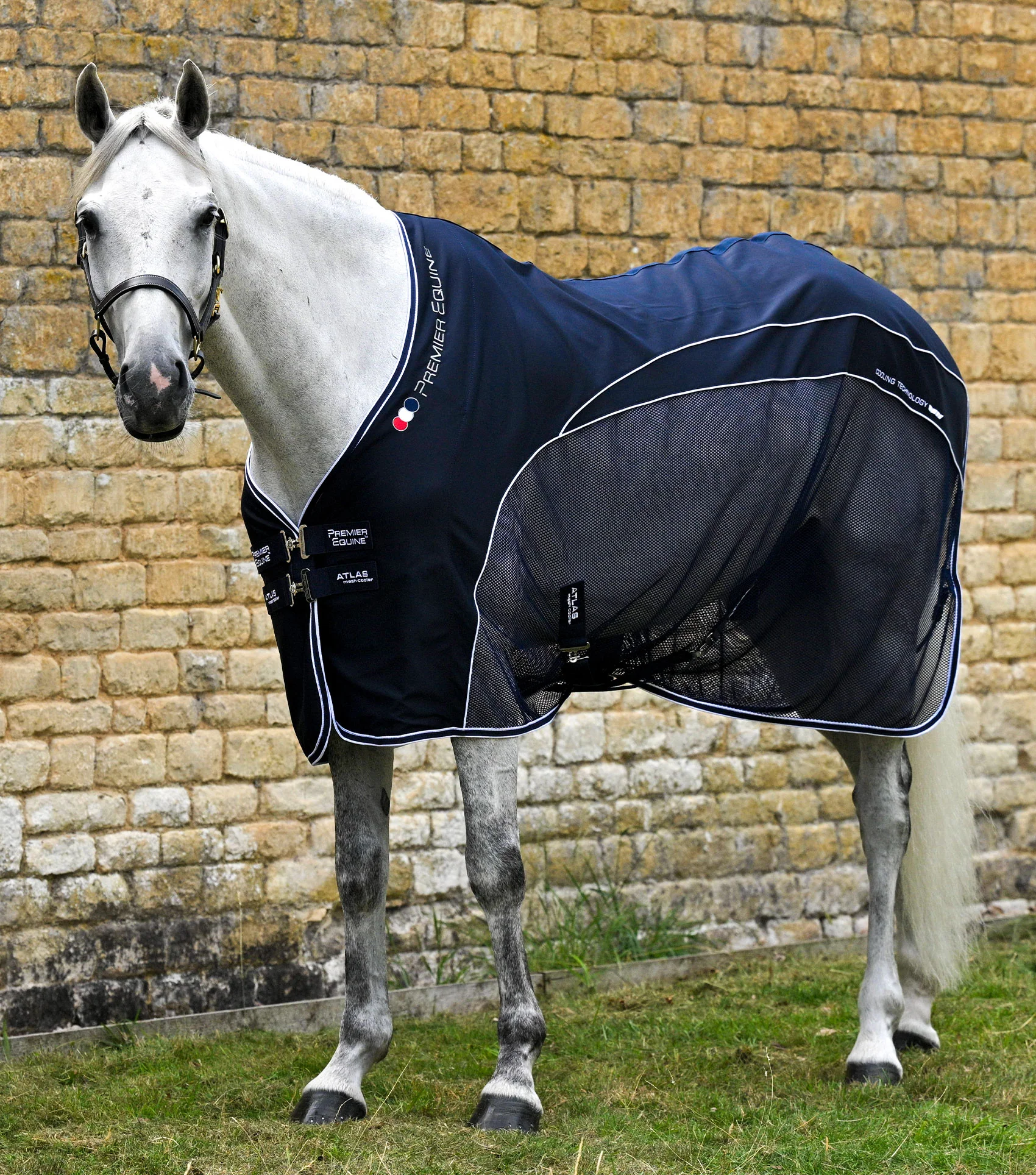 Atlas Mesh Horse Cooler Rug Navy