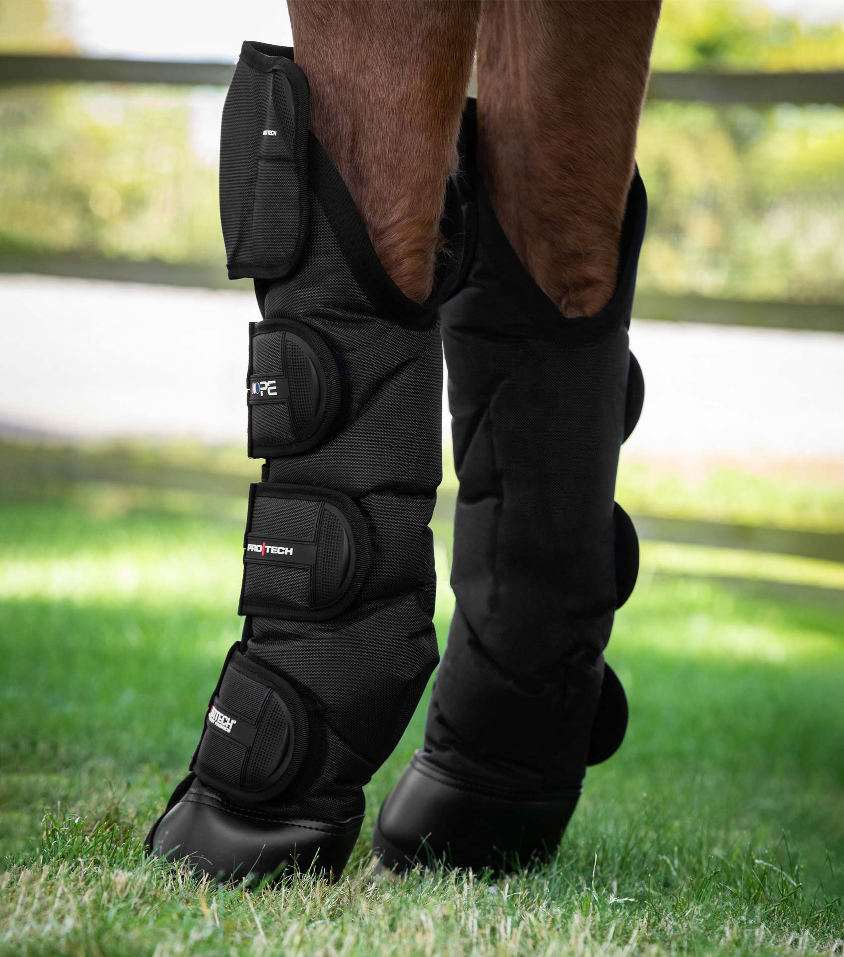 Ballistic Knee Pro-Tech Horse Travel Boots Black - Image 3