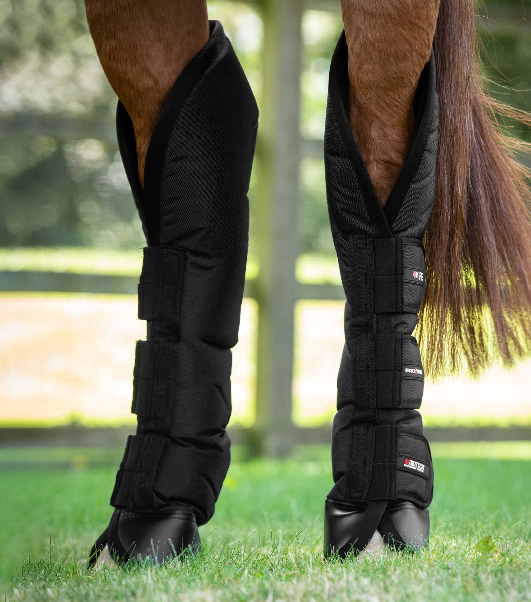 Ballistic Knee Pro-Tech Horse Travel Boots Black - Image 4