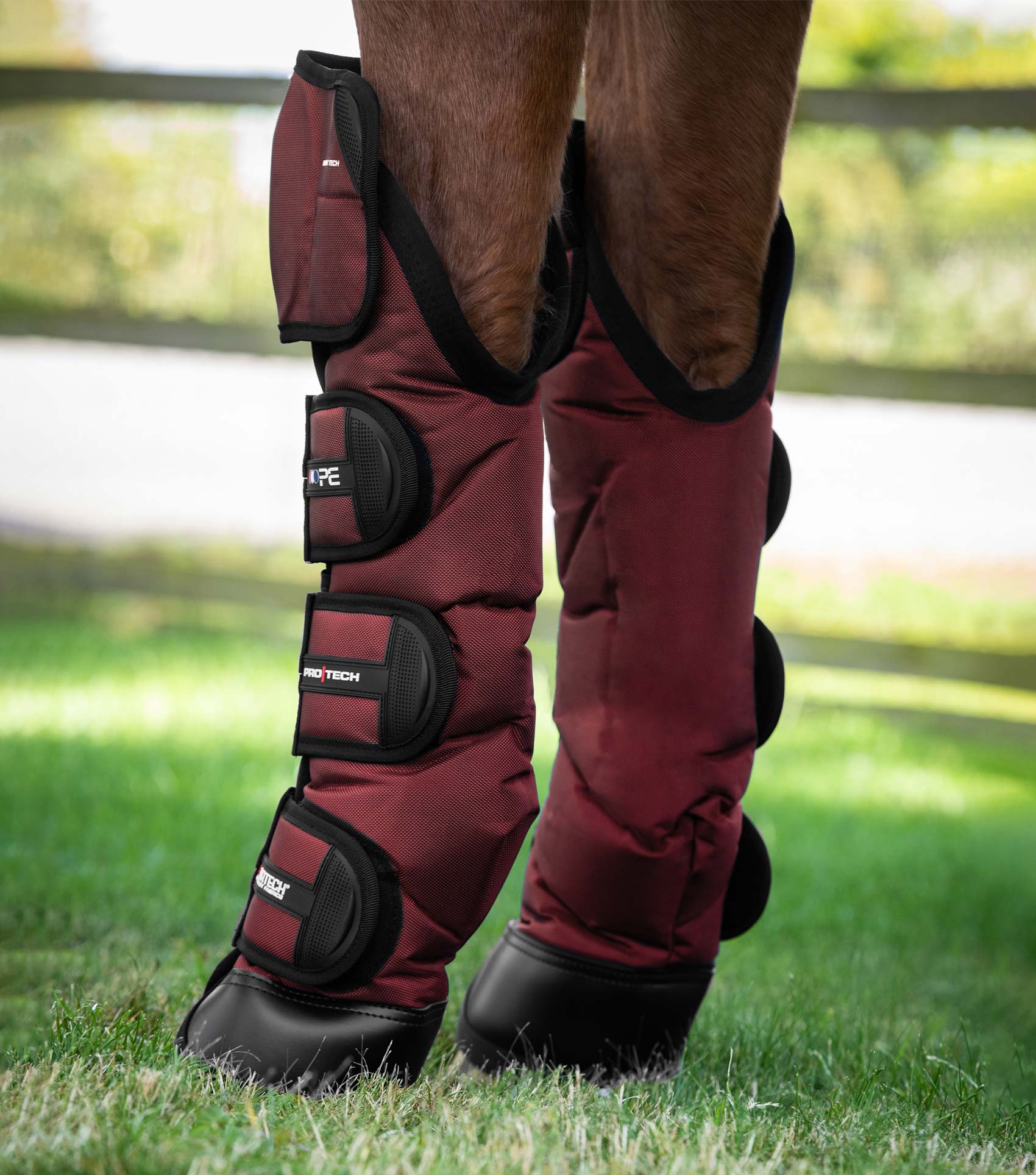Ballistic Knee Pro-Tech Horse Travel Boots Burgundy - Image 3