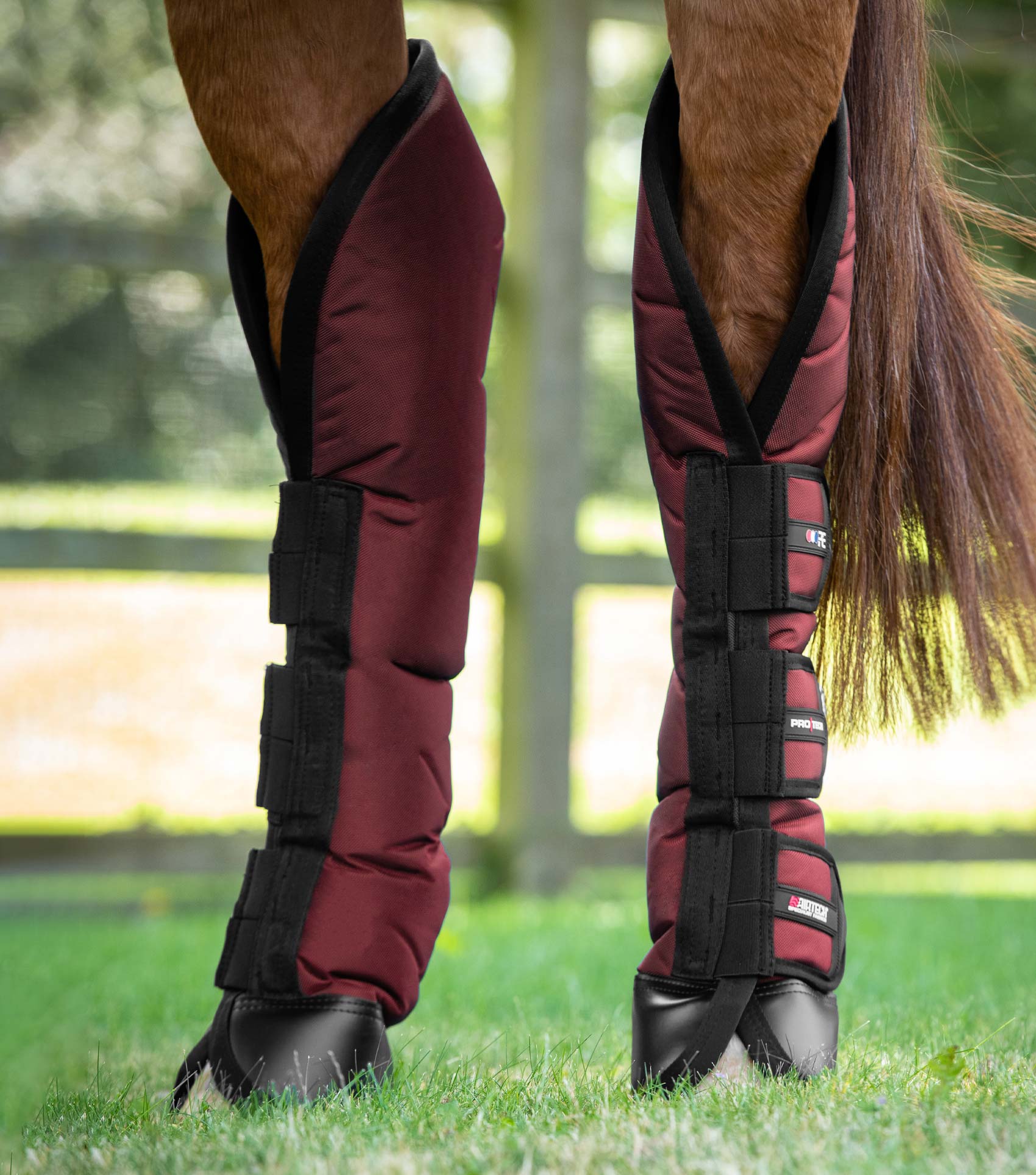 Ballistic Knee Pro-Tech Horse Travel Boots Burgundy - Image 4