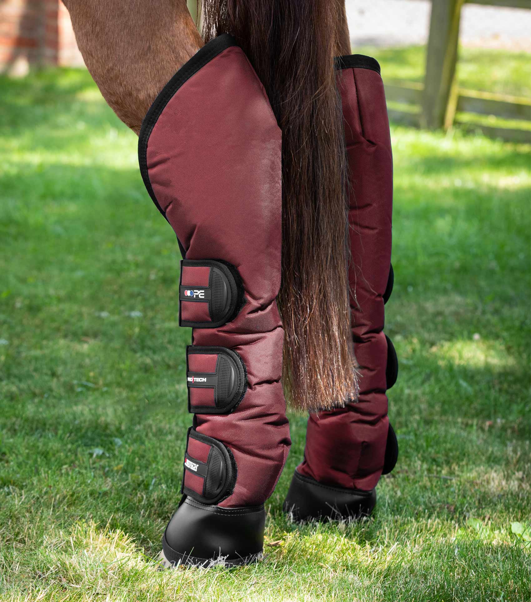 Ballistic Knee Pro-Tech Horse Travel Boots Burgundy - Image 5