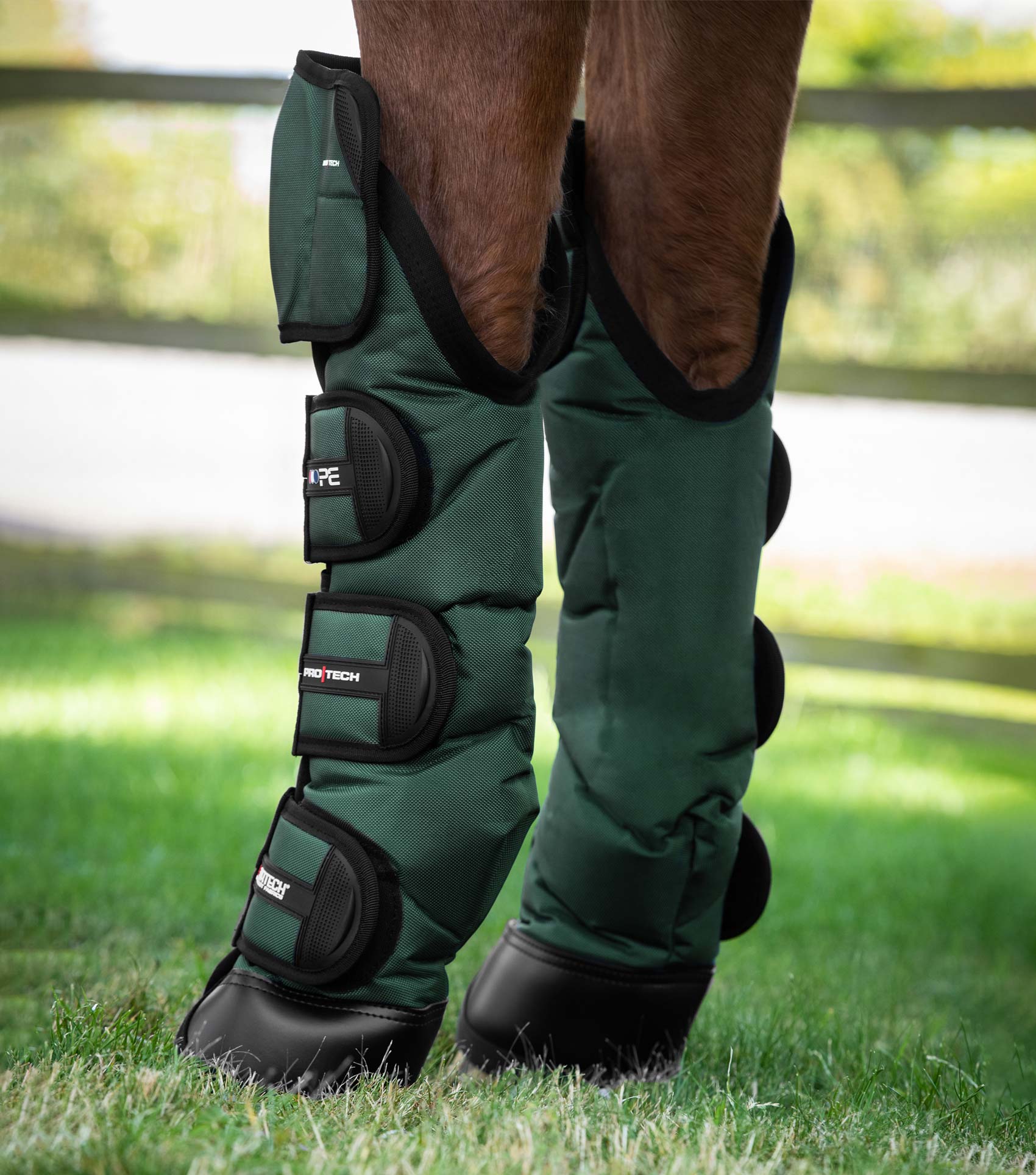 Ballistic Knee Pro-Tech Horse Travel Boots Green - Image 3