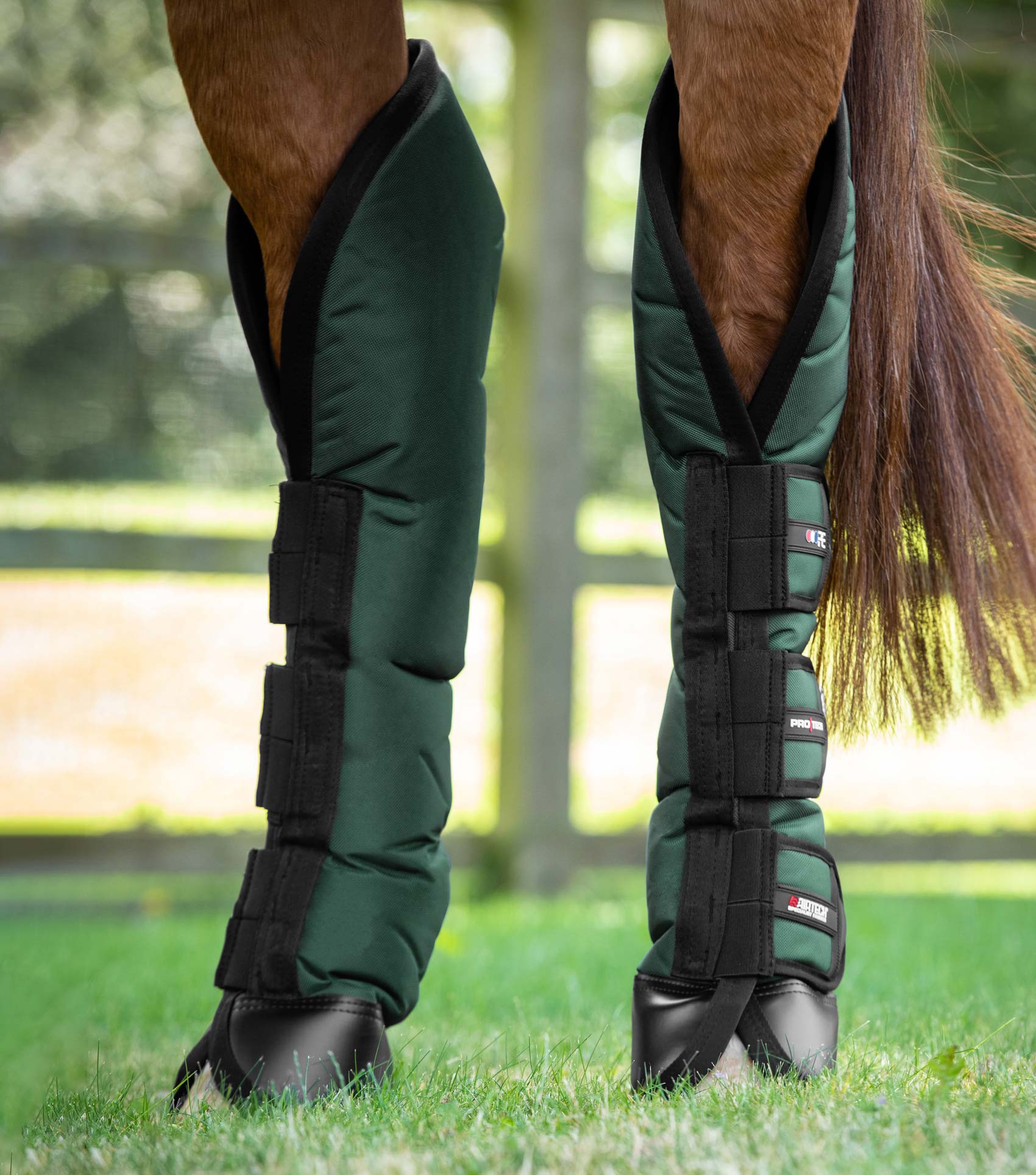 Ballistic Knee Pro-Tech Horse Travel Boots Green - Image 4