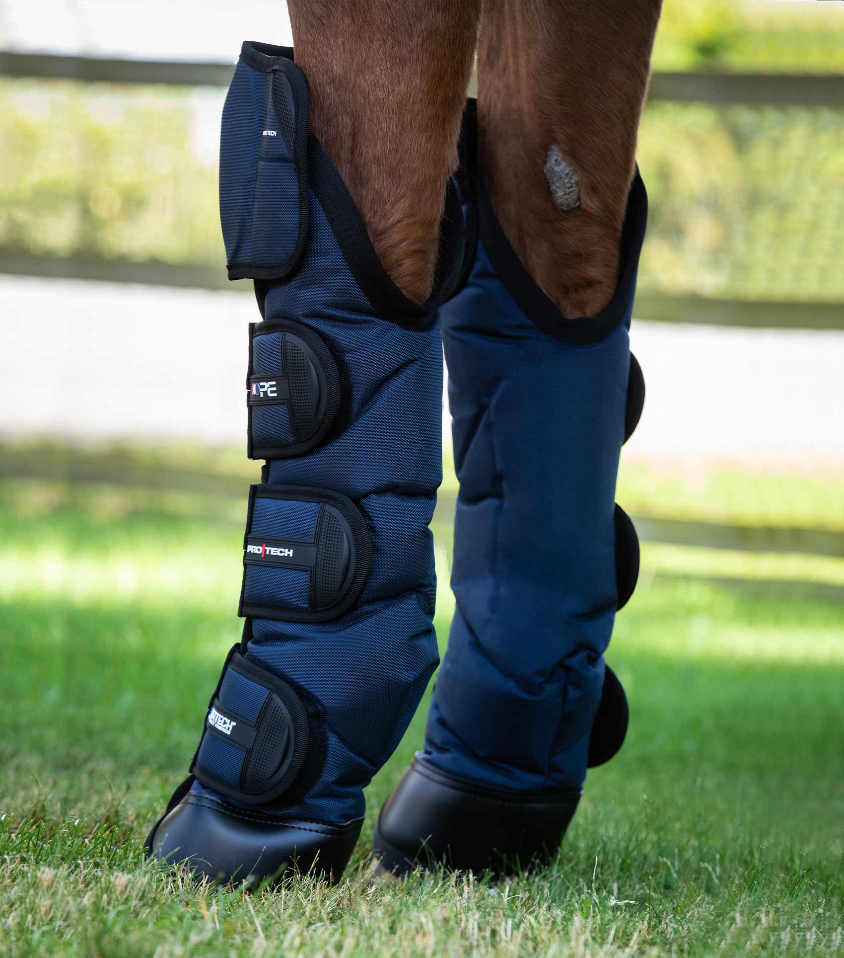 Ballistic Knee Pro-Tech Horse Travel Boots Navy - Image 3