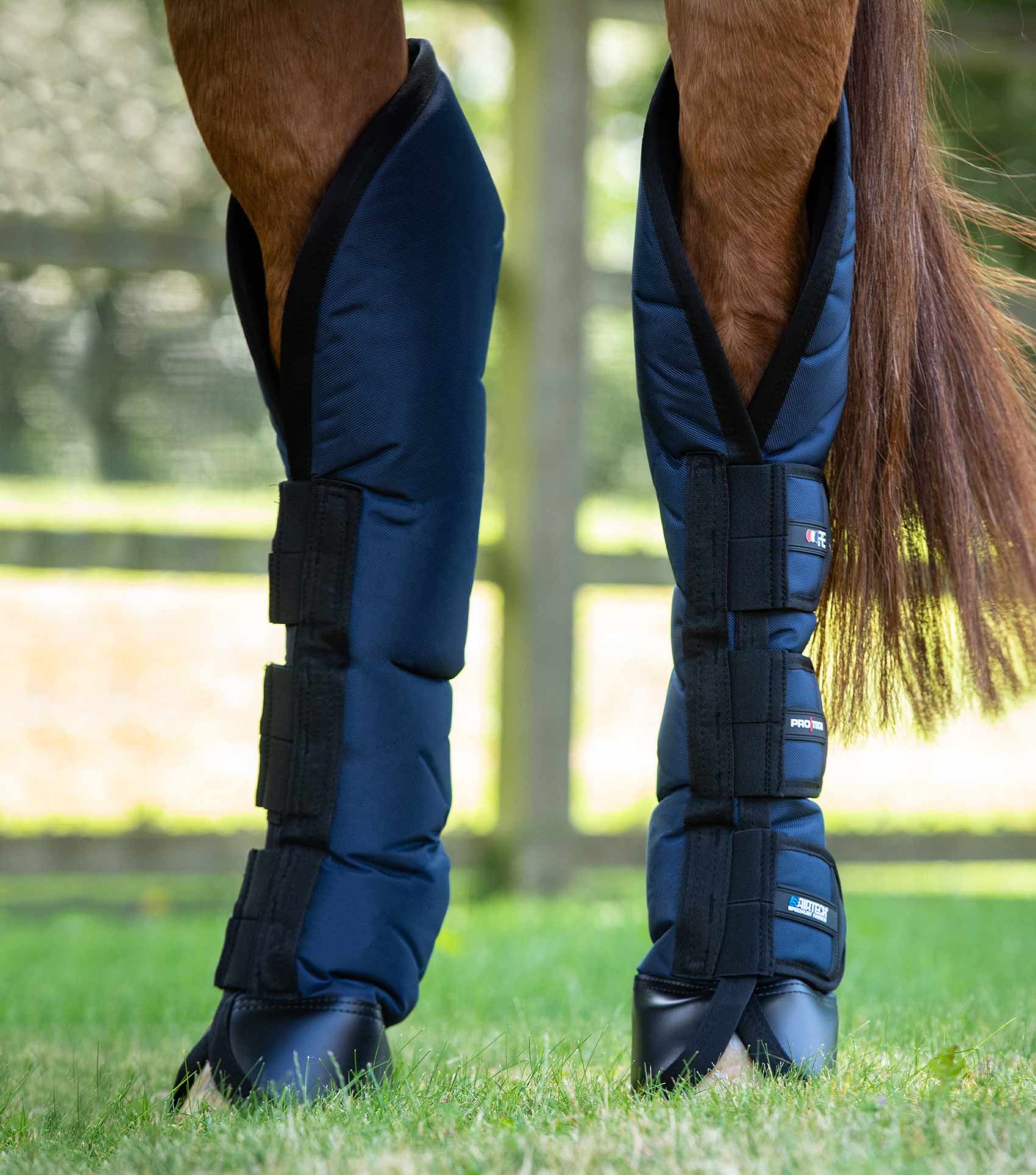 Ballistic Knee Pro-Tech Horse Travel Boots Navy - Image 4