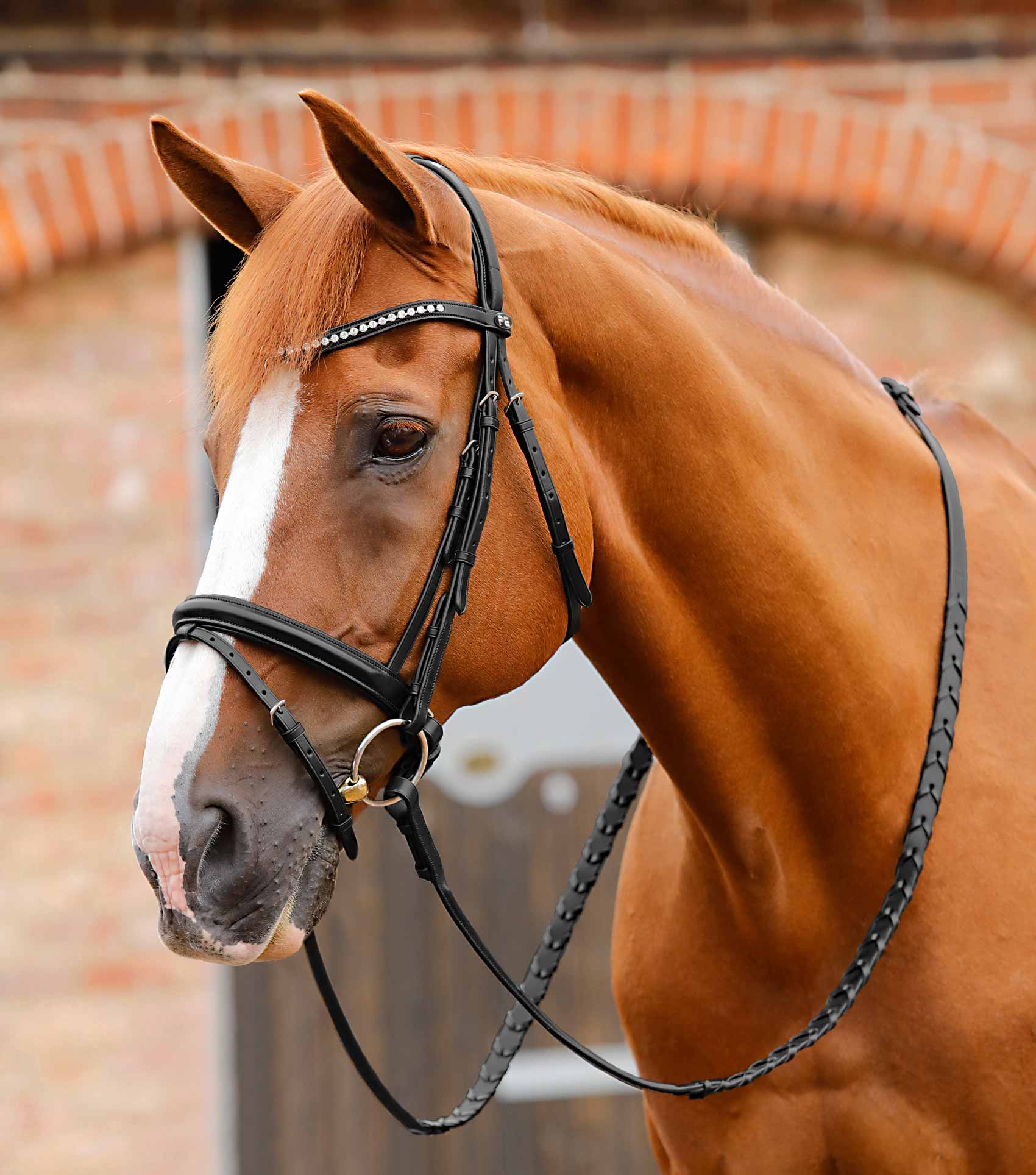 Bellissima Shaped Diamante Browband Black - Image 3