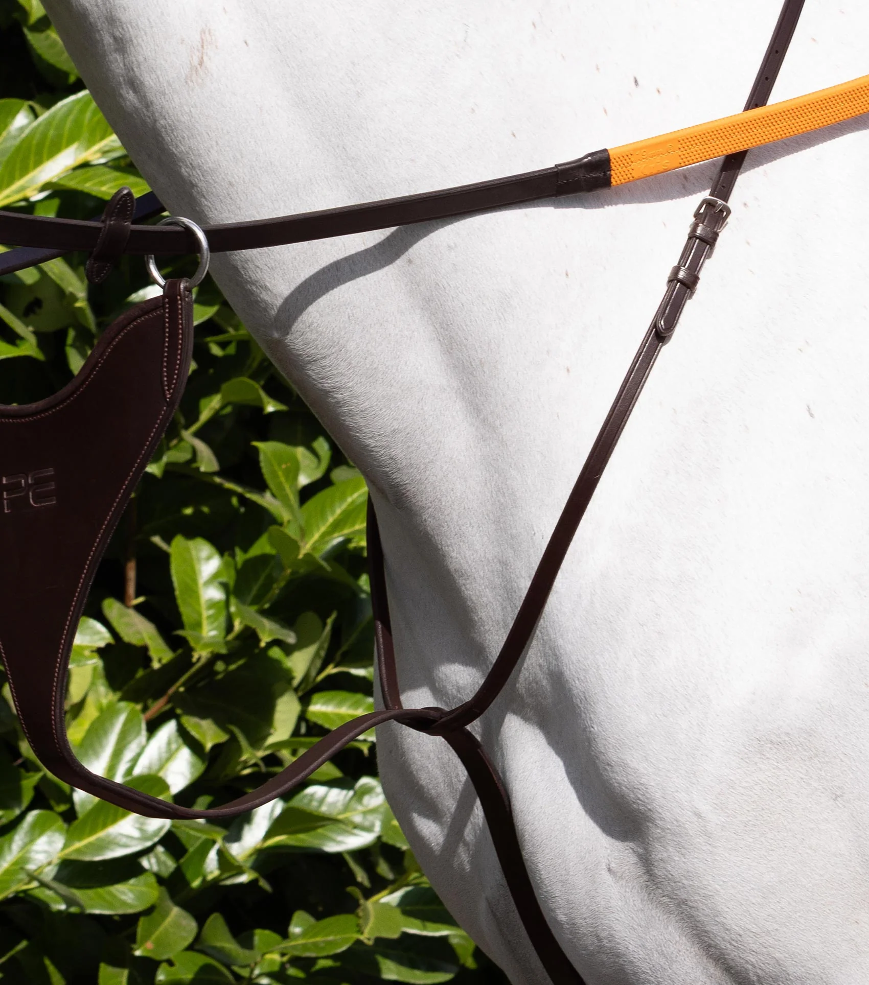 European Bib Martingale Dark Havana - Image 2