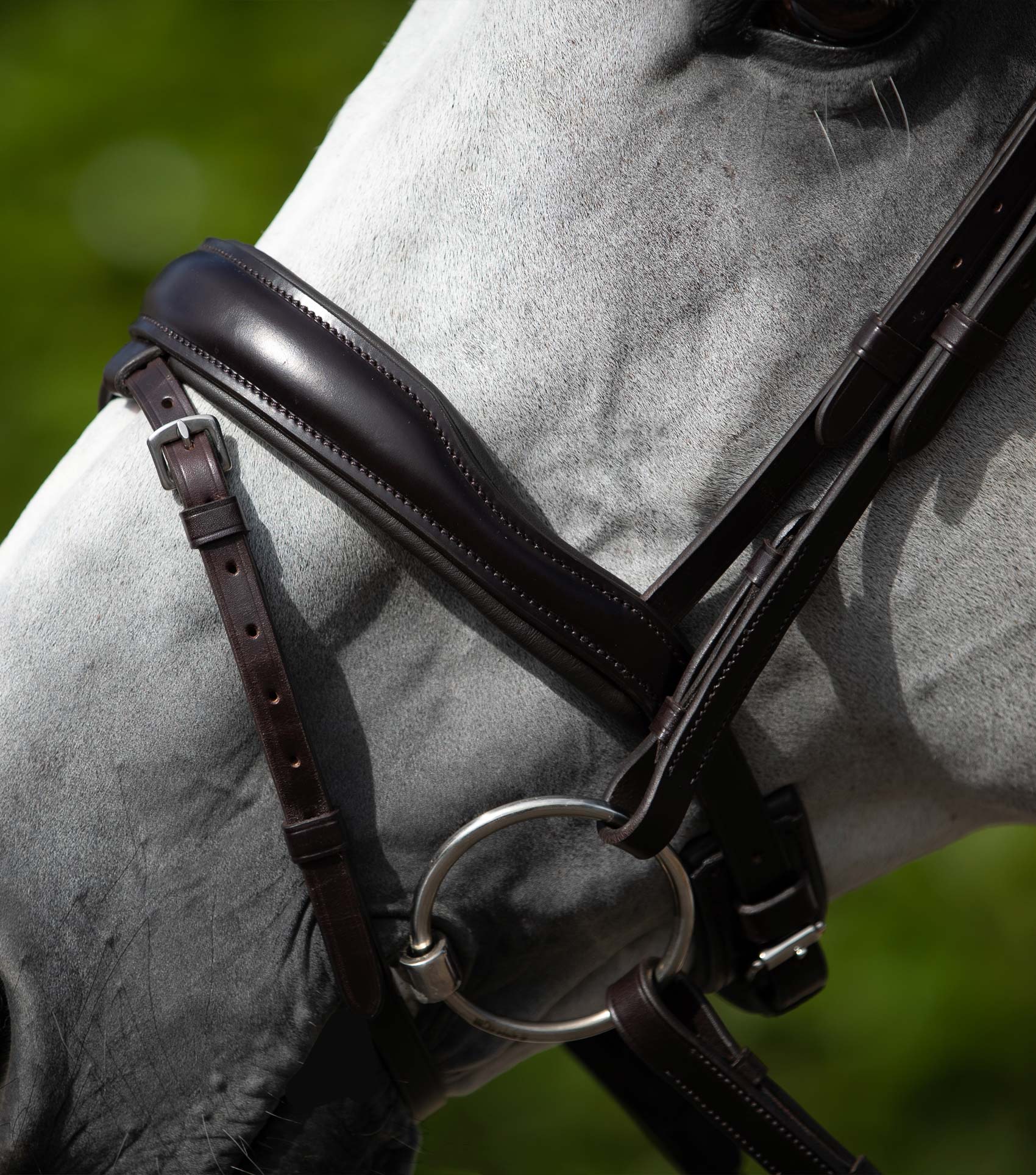 Blue Sweet Iron Loose Ring Mullen Mouth Snaffle - Image 2