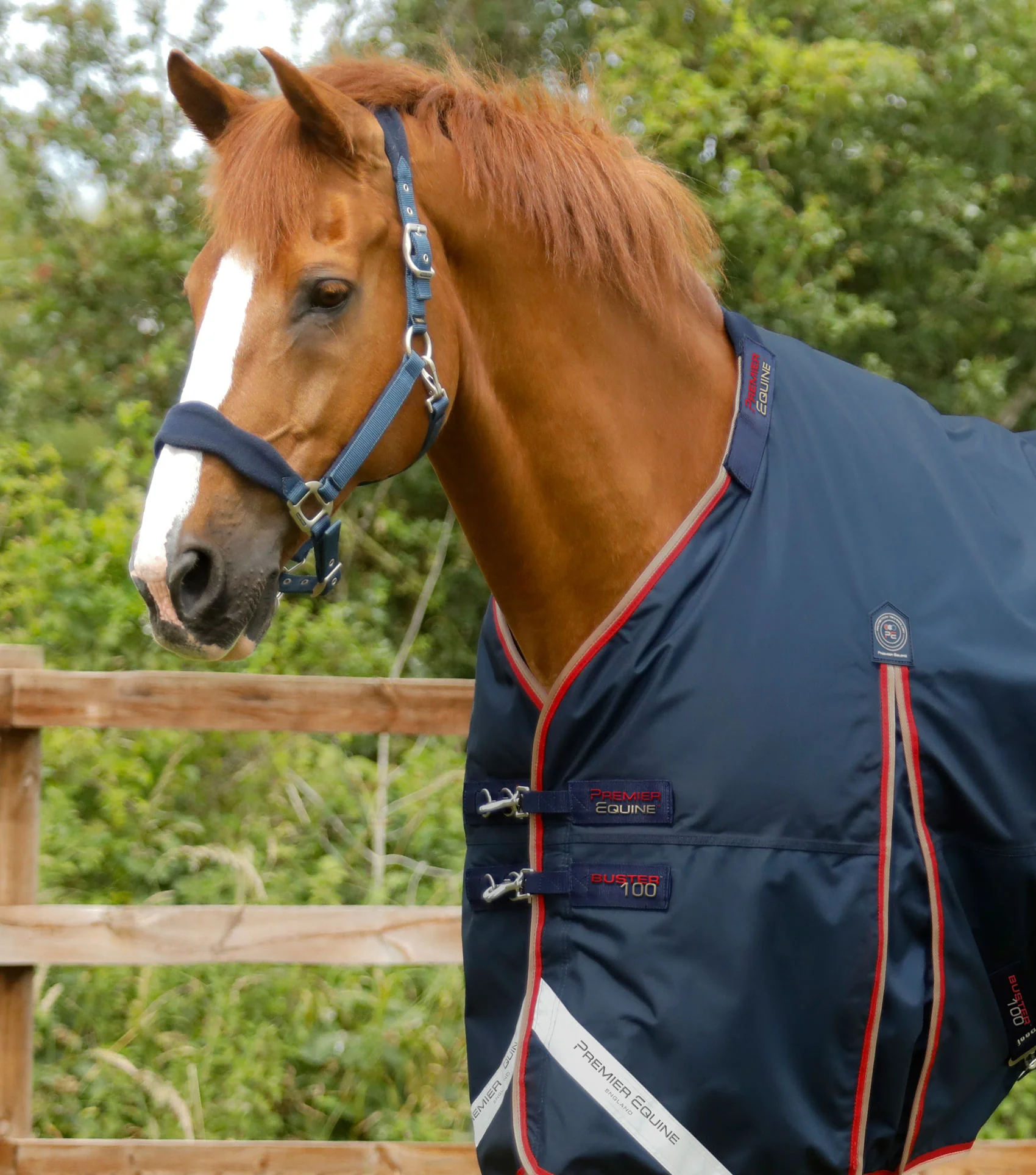 Buster 100g Turnout Rug with Snug-Fit Neck Cover Navy - Image 2