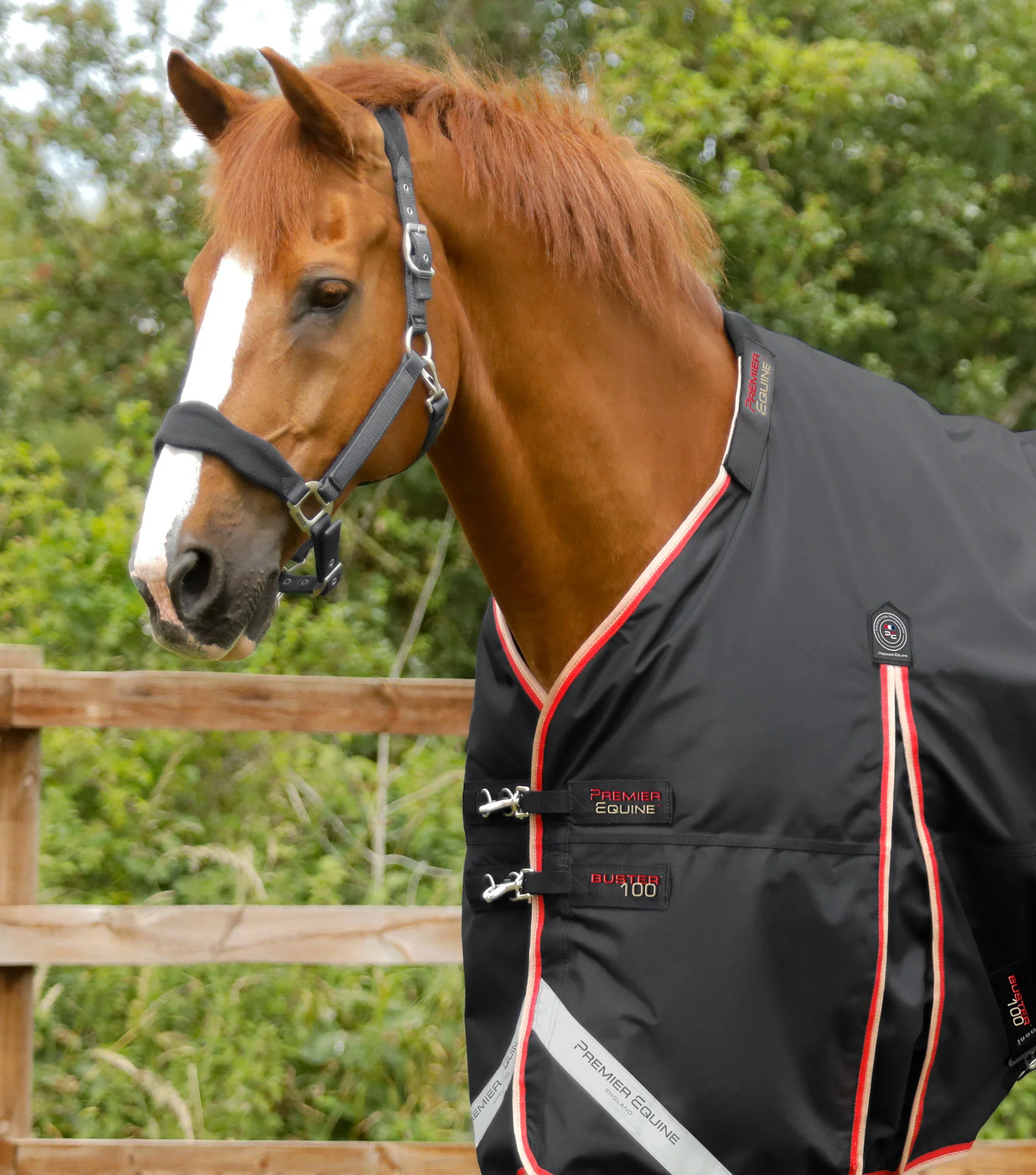 Buster 100g Turnout Rug with Snug-Fit Neck Cover Black - Image 2