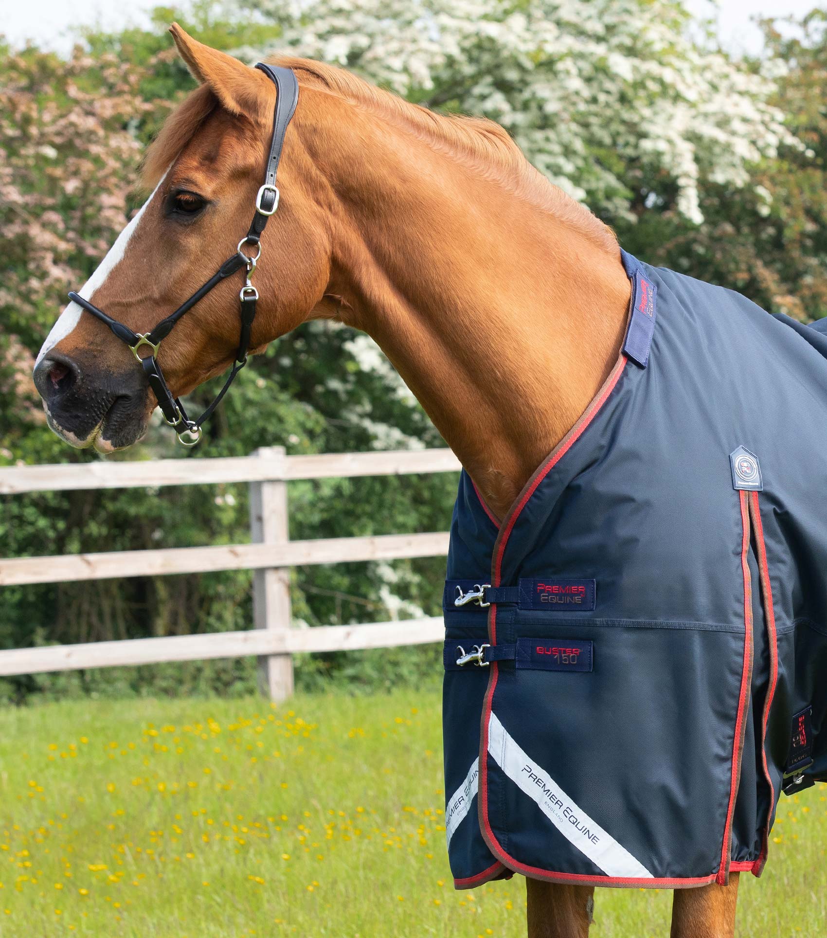Buster 150g Turnout Rug with Classic Neck Cover Navy - Image 3