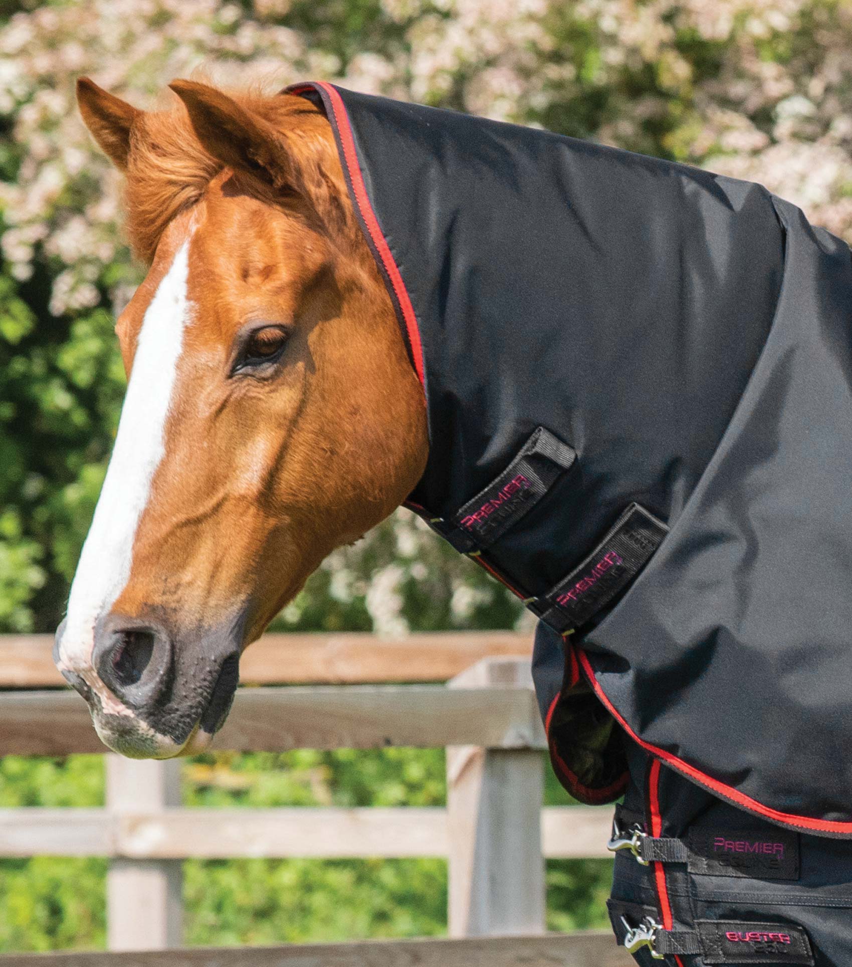 Buster 250g Turnout Rug with Classic Neck Cover Black - Image 3