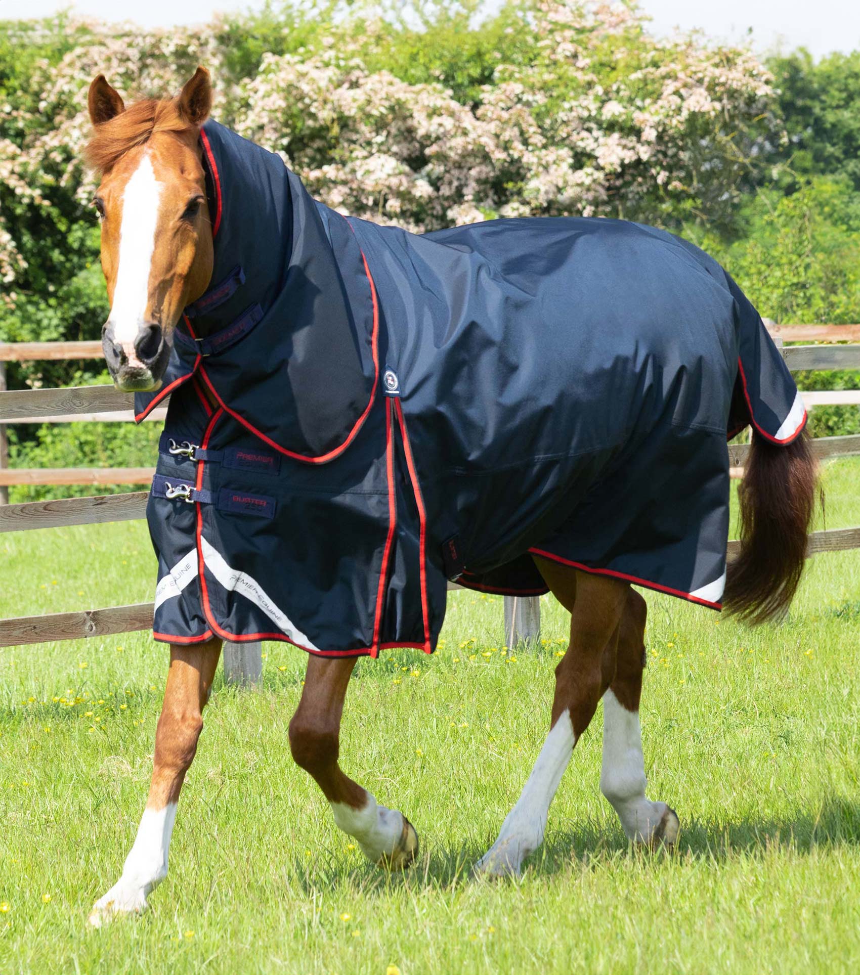 Buster 250g Turnout Rug with Classic Neck Cover Navy