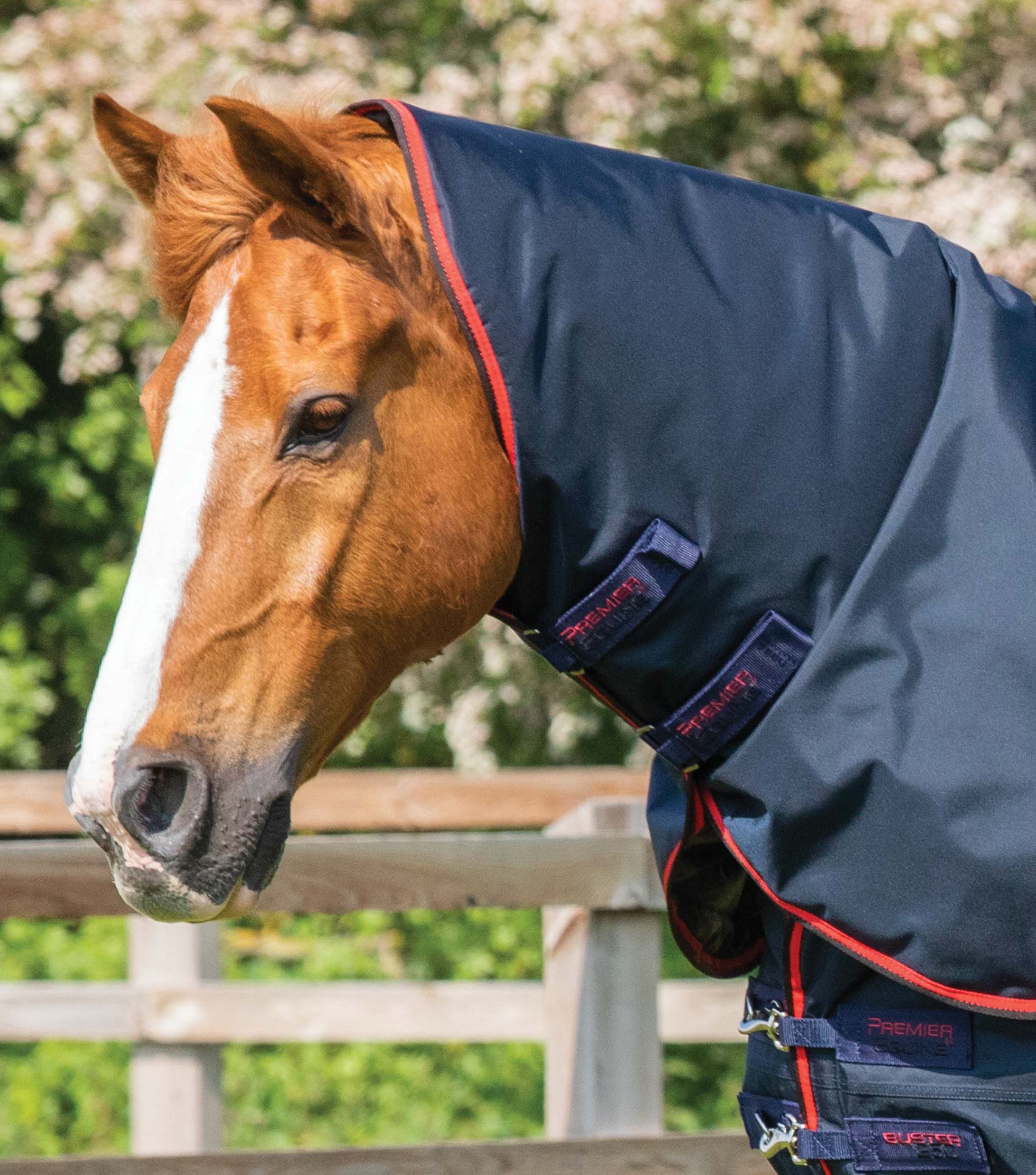 Buster 250g Turnout Rug with Classic Neck Cover Navy - Image 2