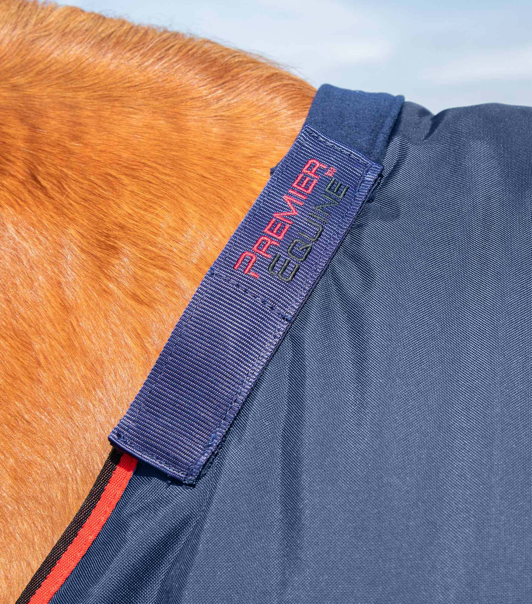 Buster 250g Turnout Rug with Classic Neck Cover Navy - Image 3
