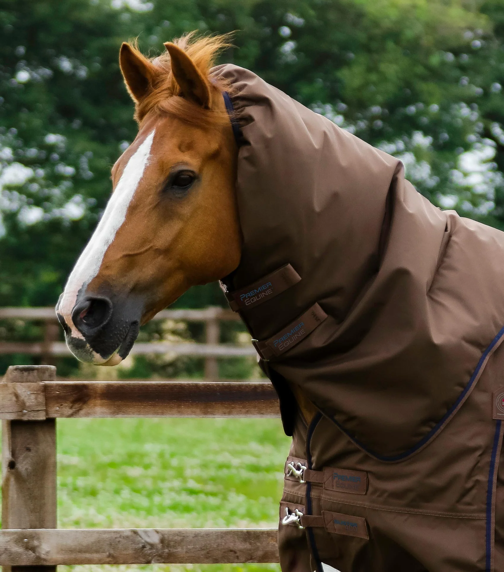 Buster 400g Turnout Rug with Snug-Fit Neck Cover Brown - Image 3