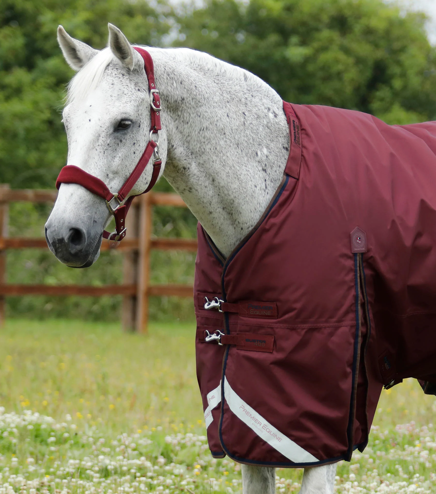 Buster 400g Turnout Rug with Snug-Fit Neck Cover Burgundy - Image 2