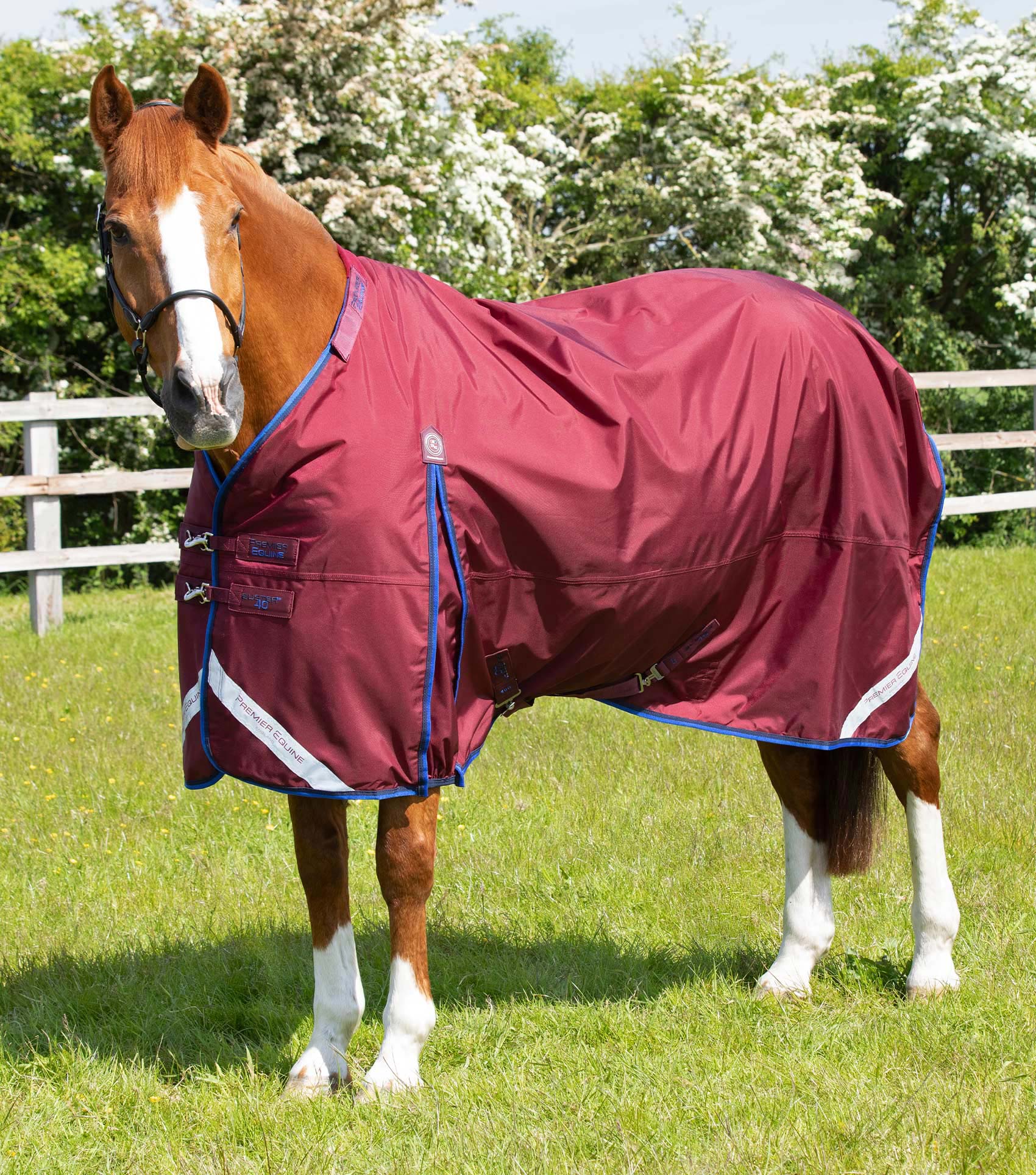 Buster 40g Turnout Rug with Classic Neck Cover Burgundy - Image 3