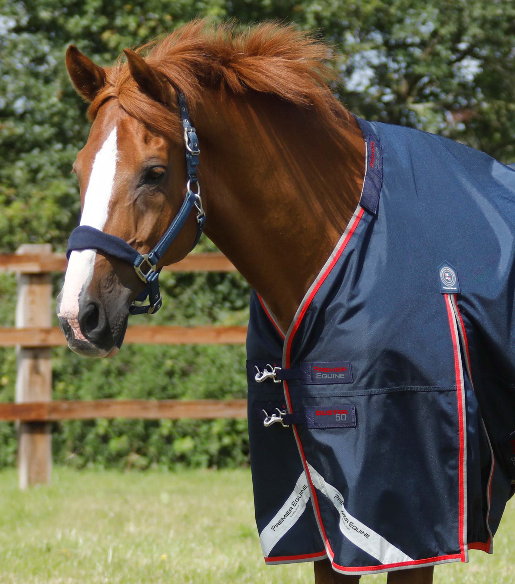 Buster 50g Turnout Rug with Snug-Fit Neck Cover Navy - Image 2