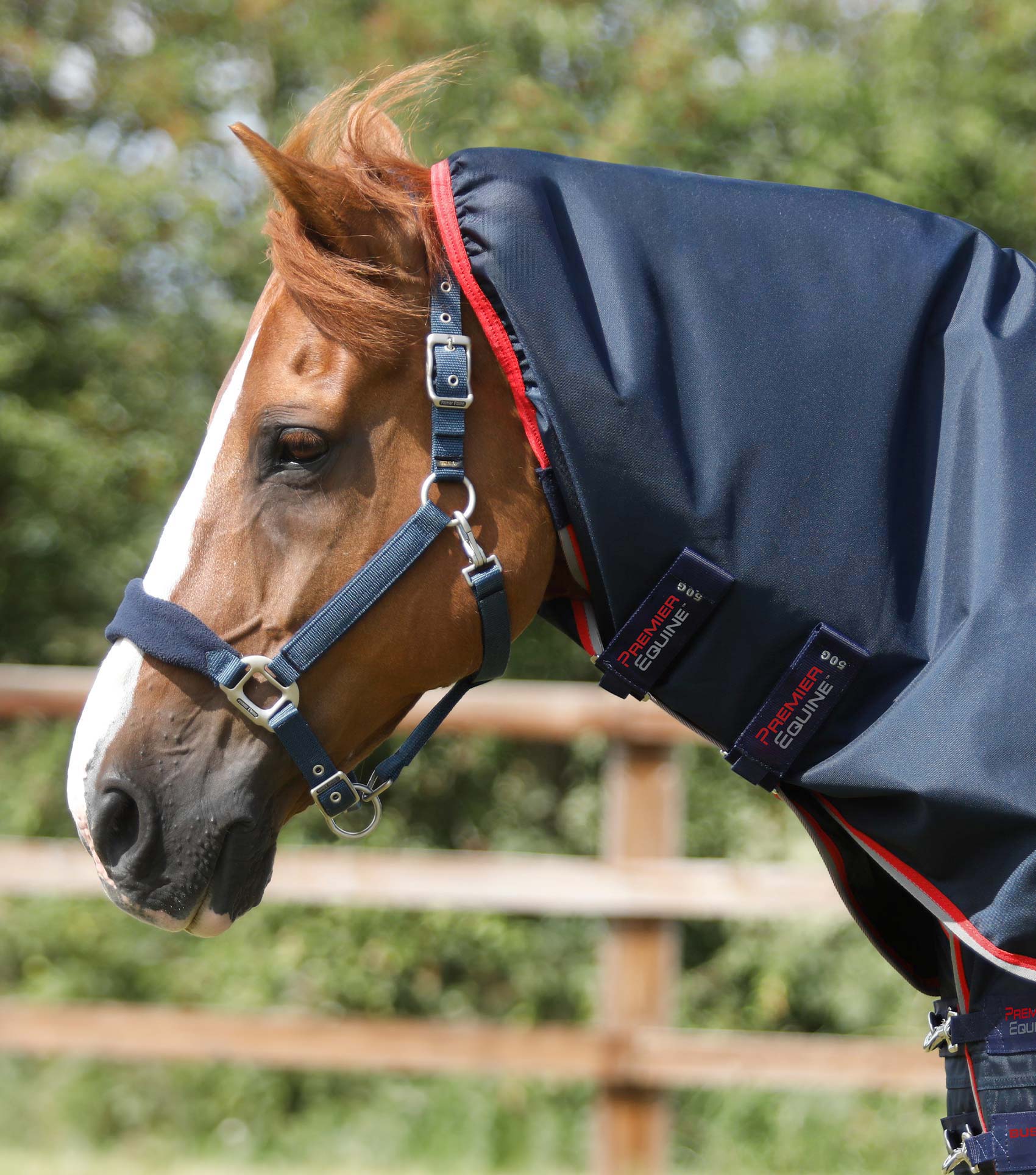 Buster 50g Turnout Rug with Snug-Fit Neck Cover Navy - Image 3