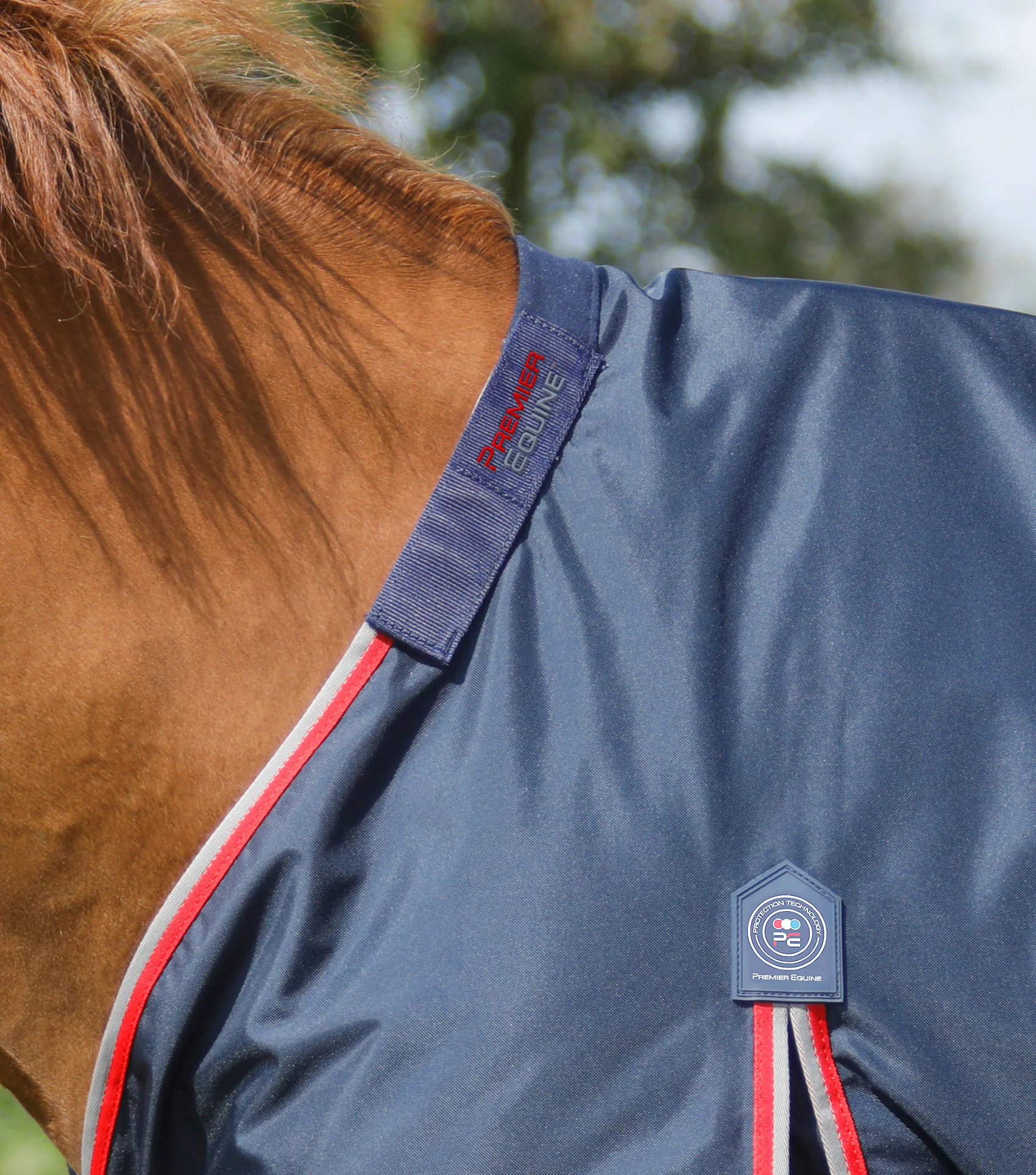 Buster 50g Turnout Rug with Snug-Fit Neck Cover Navy - Image 5