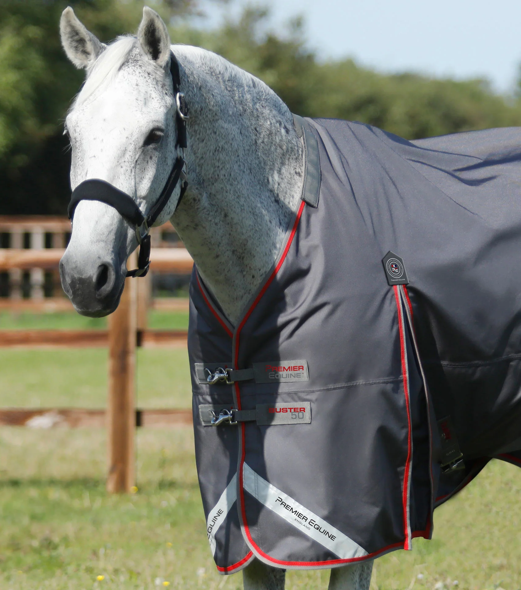 Buster 50g Turnout Rug with Snug-Fit Neck Cover Grey - Image 2