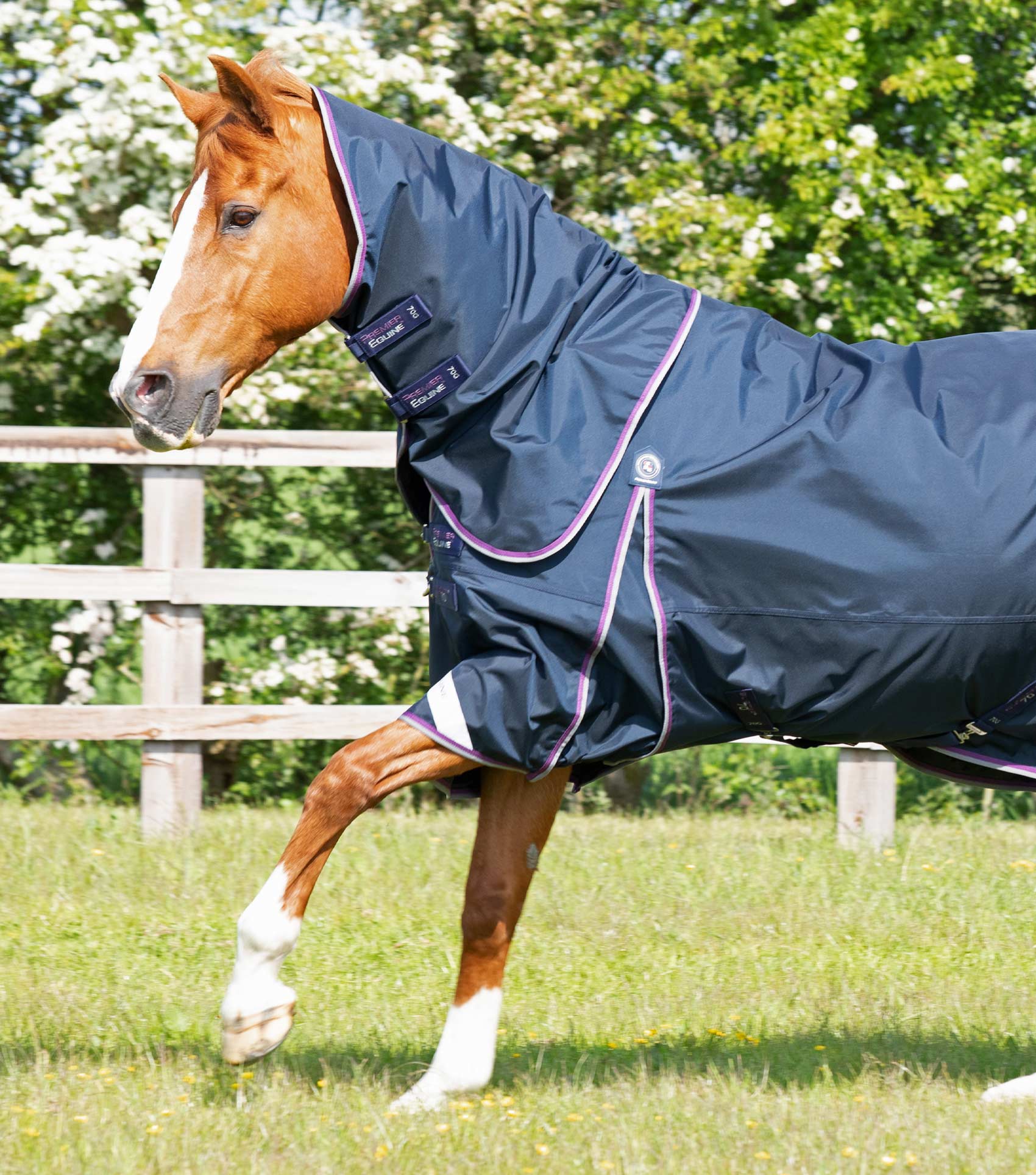 Buster 70g Turnout Rug with Classic Neck Cover Navy - Image 2