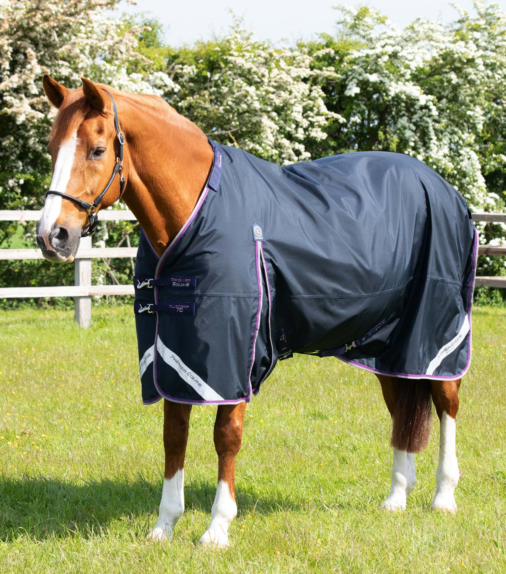 Buster 70g Turnout Rug with Classic Neck Cover Navy - Image 3