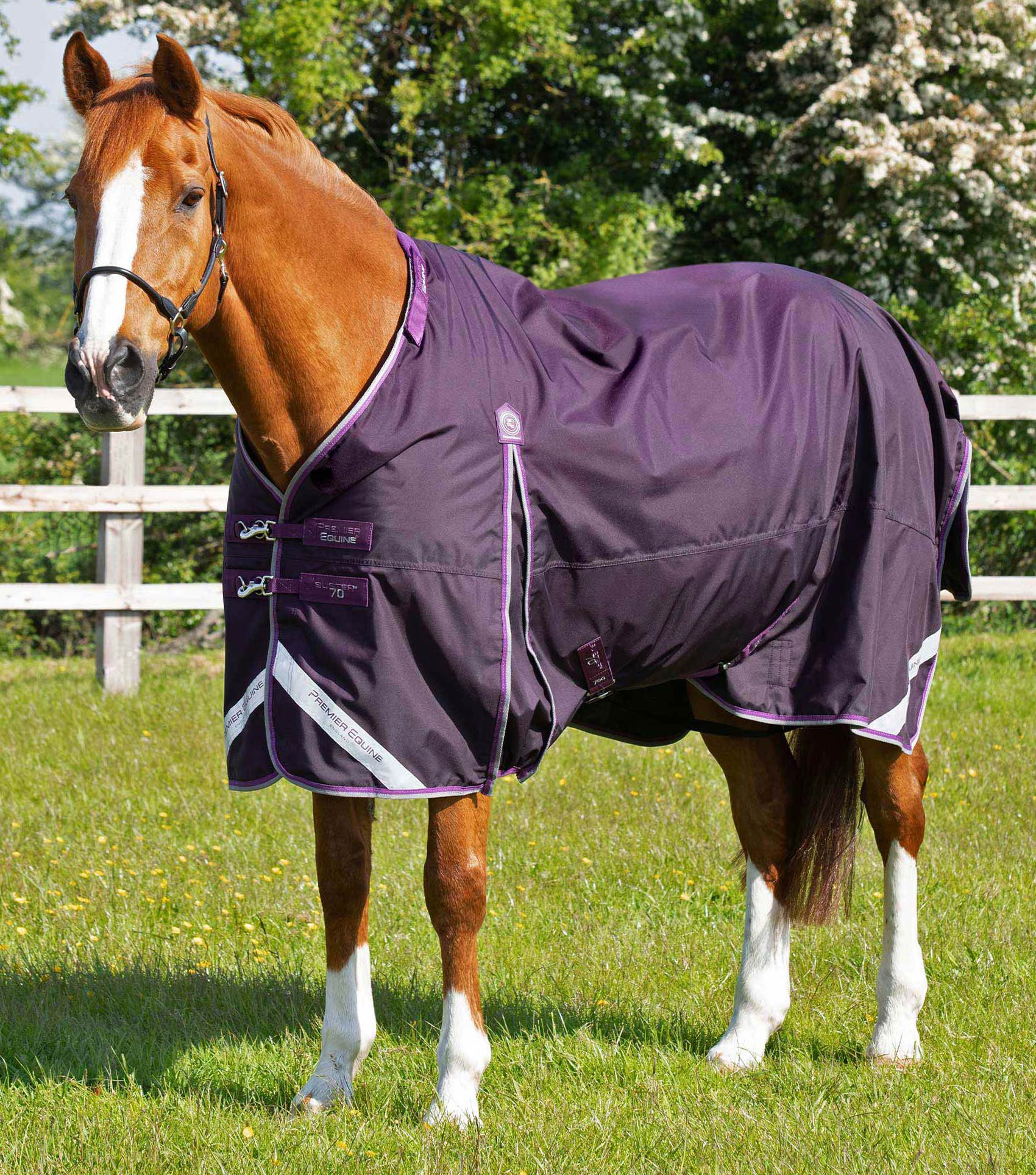 Buster 70g Turnout Rug with Classic Neck Cover Purple - Image 2