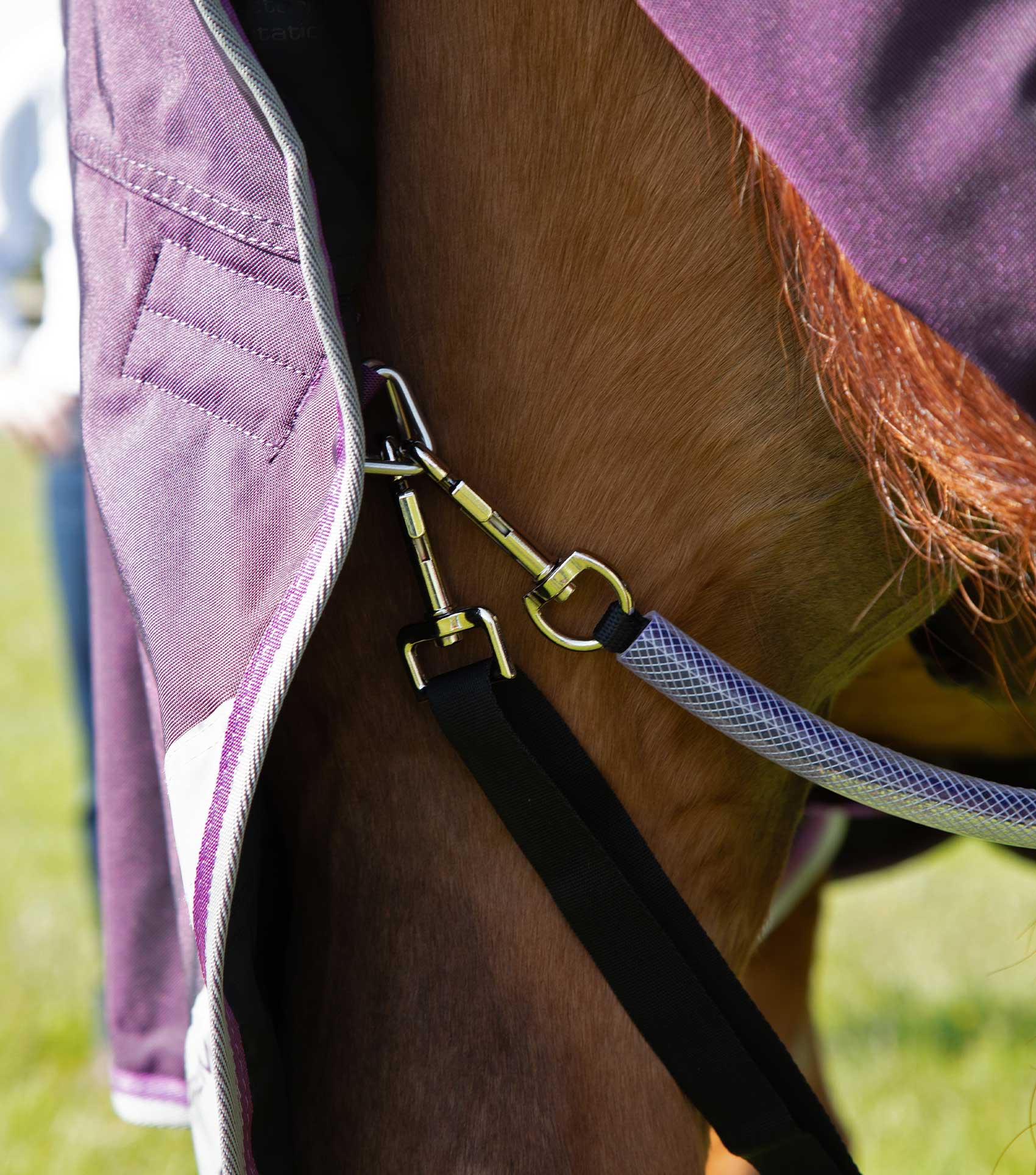 Buster 70g Turnout Rug with Classic Neck Cover Purple - Image 5